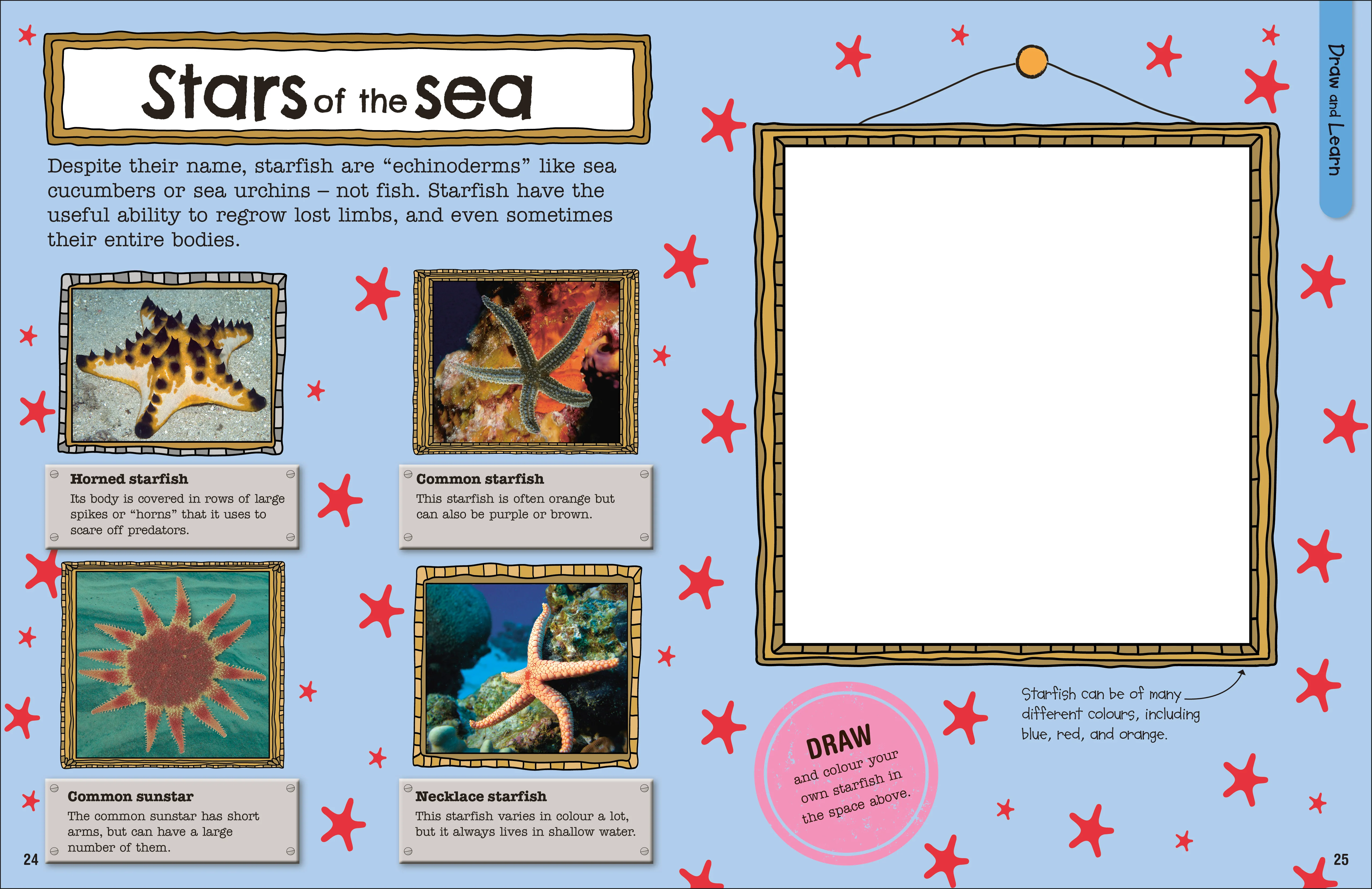 The Fact-Packed Activity Book: Sharks and Other Sea Creatures - Image 2