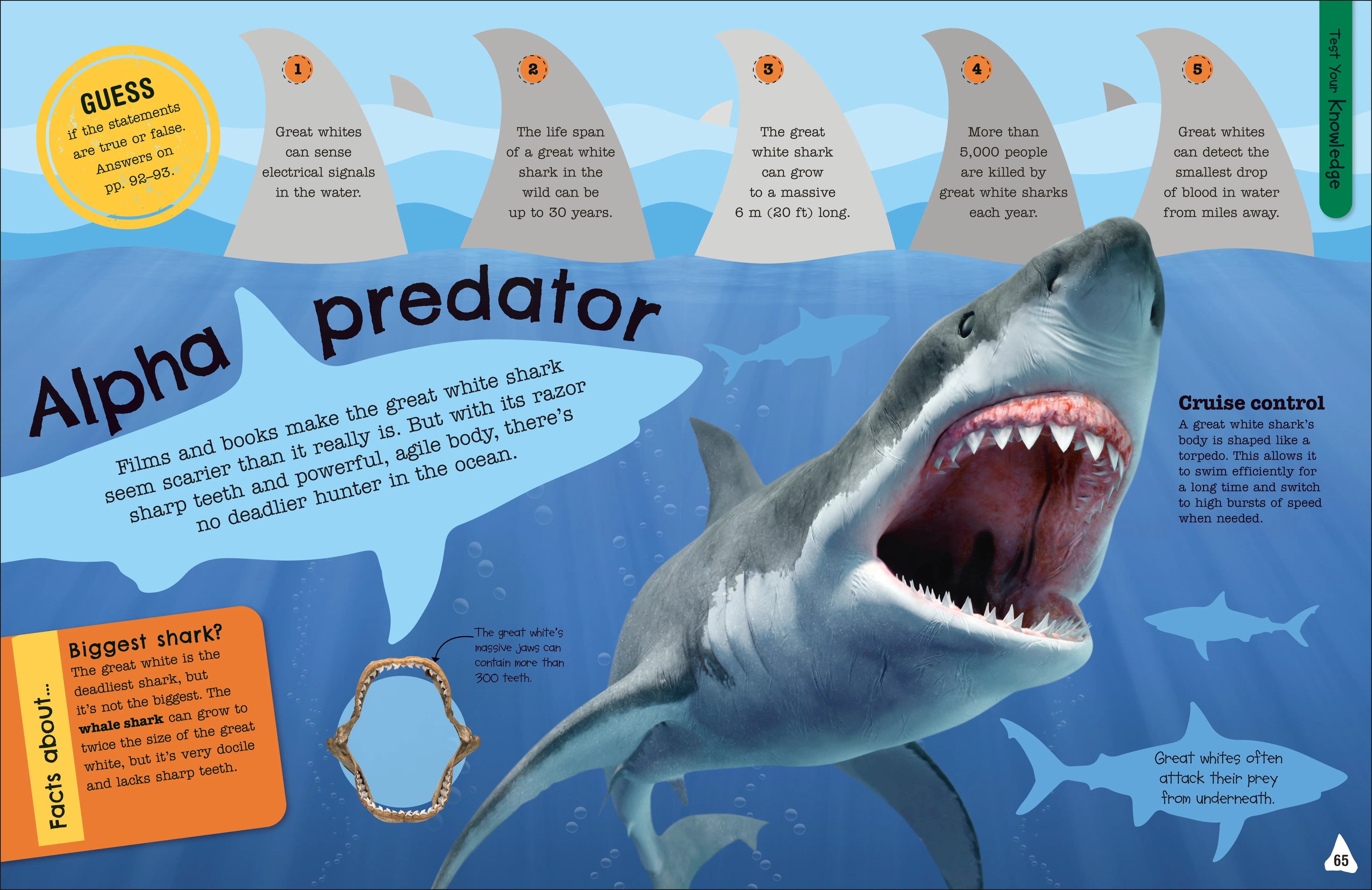 The Fact-Packed Activity Book: Sharks and Other Sea Creatures - Image 3