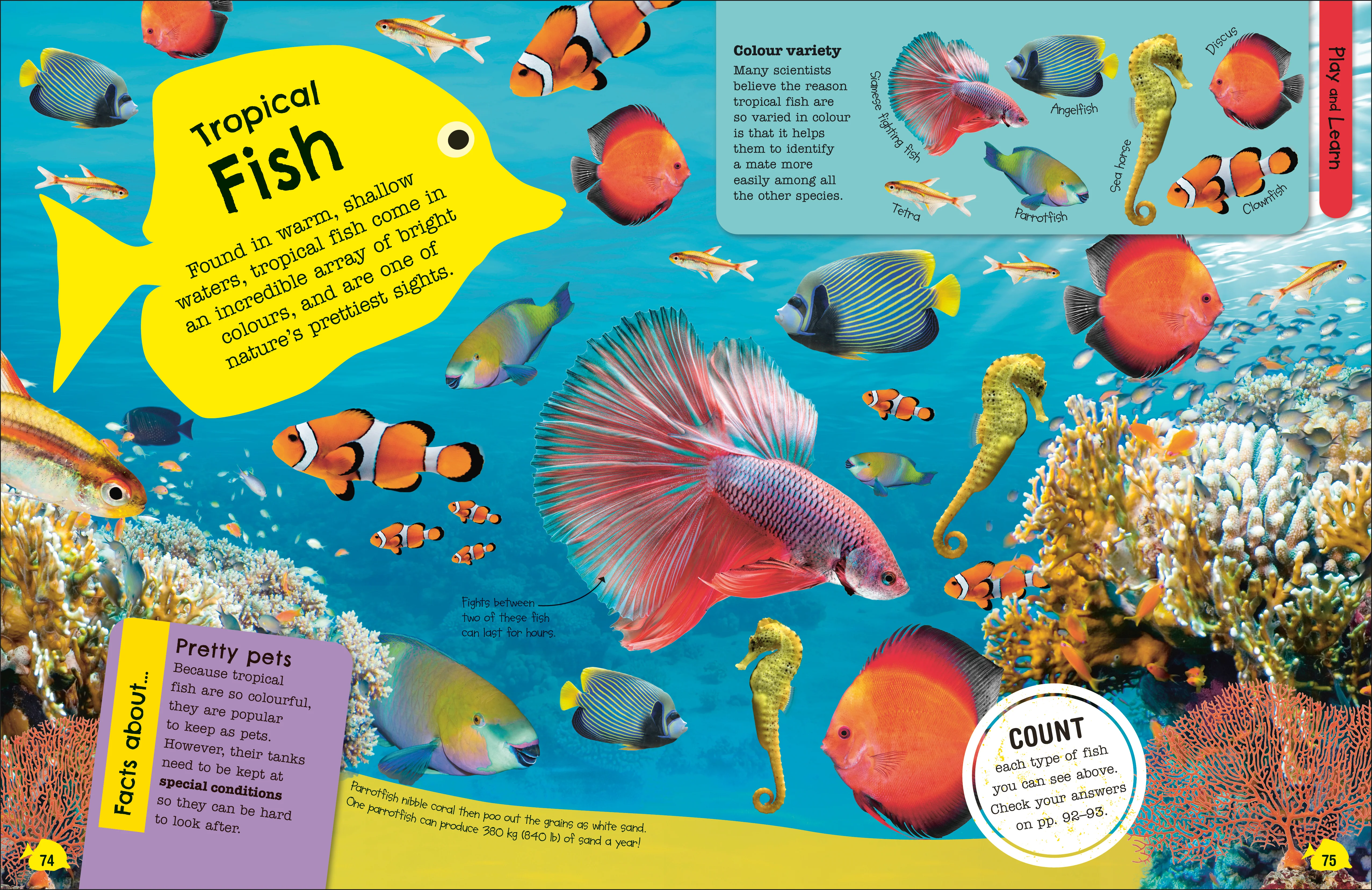 The Fact-Packed Activity Book: Sharks and Other Sea Creatures - Image 4