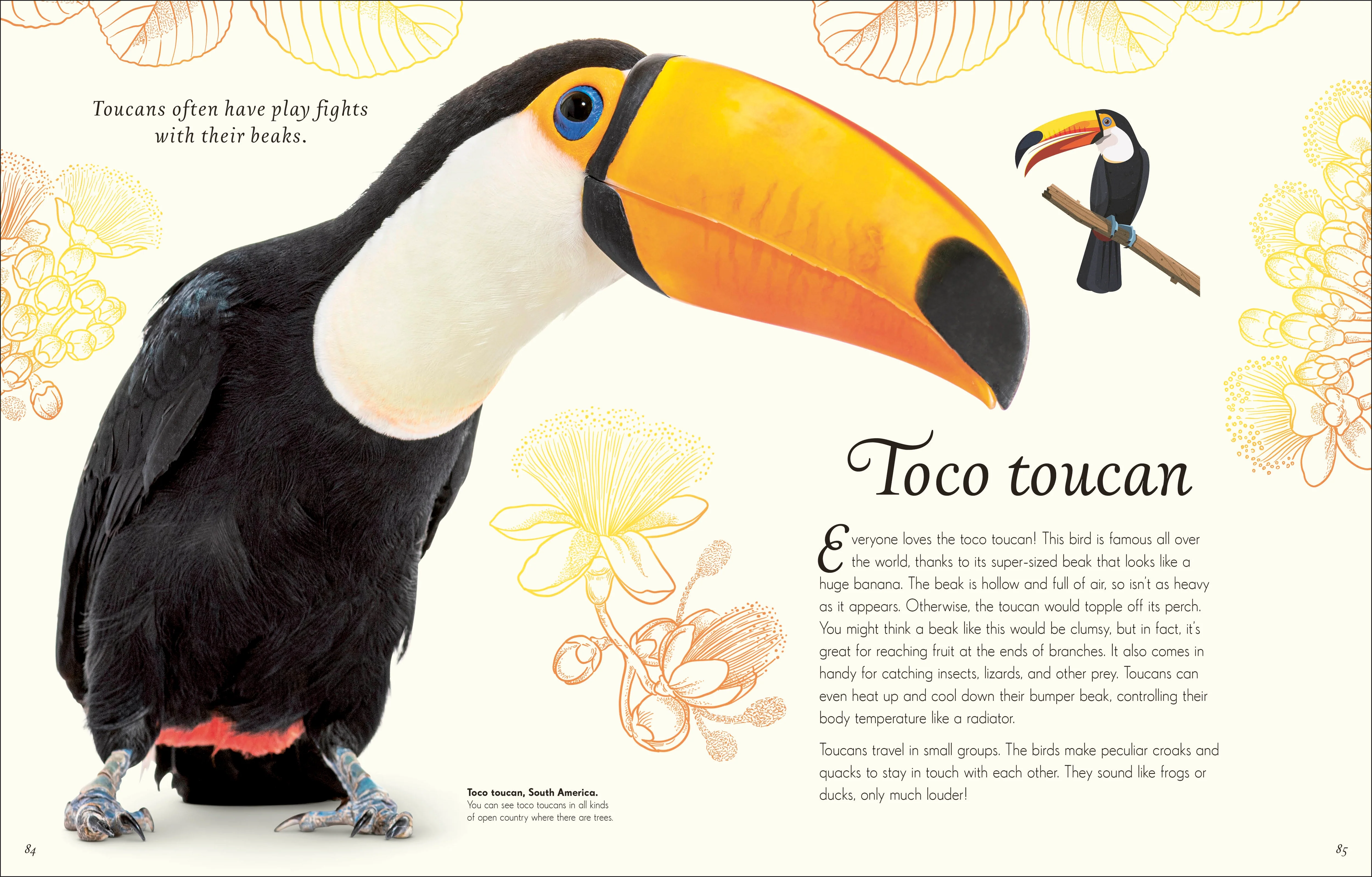 An Anthology of Exquisite Birds - Image 5