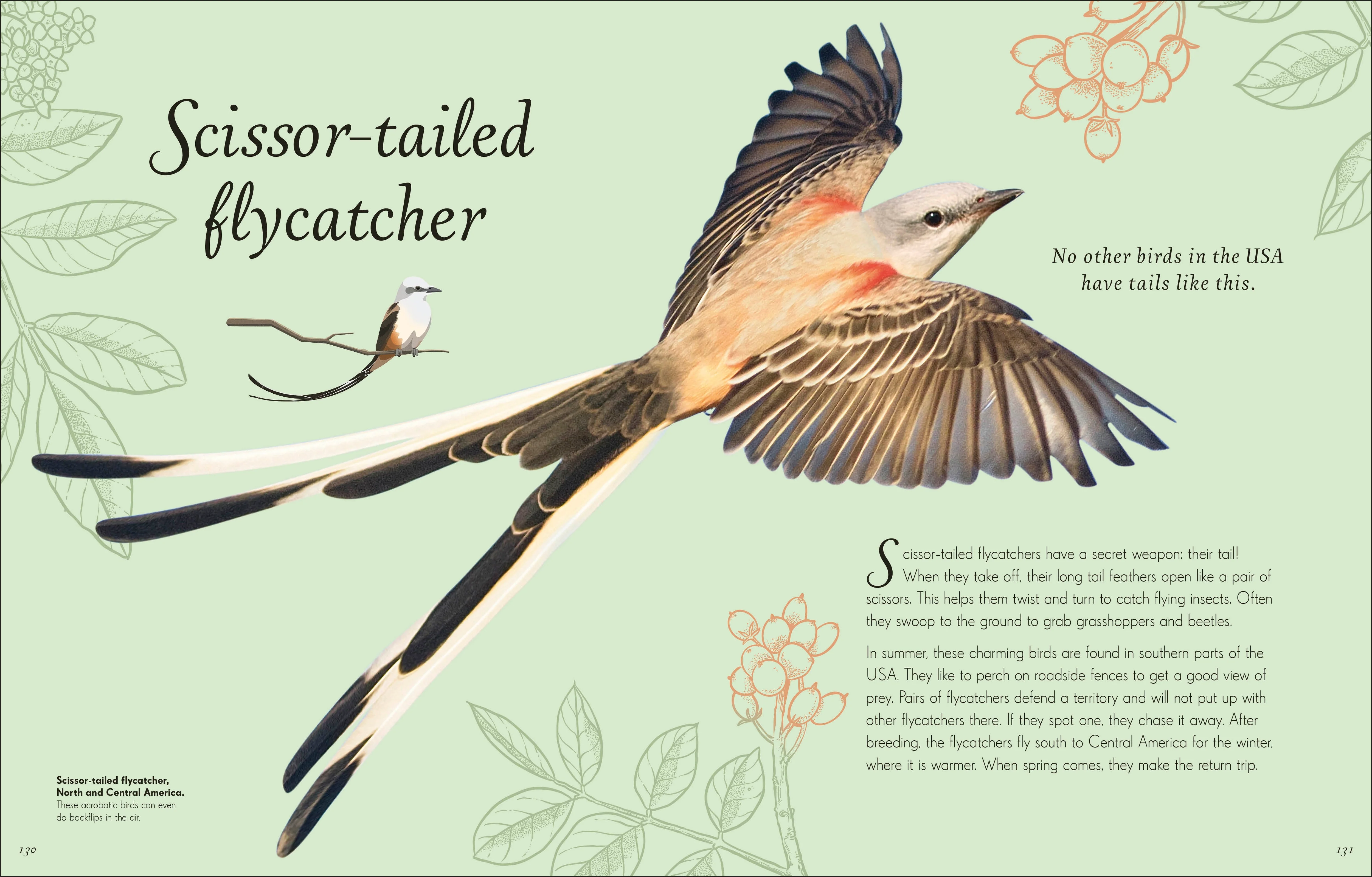 An Anthology of Exquisite Birds - Image 7