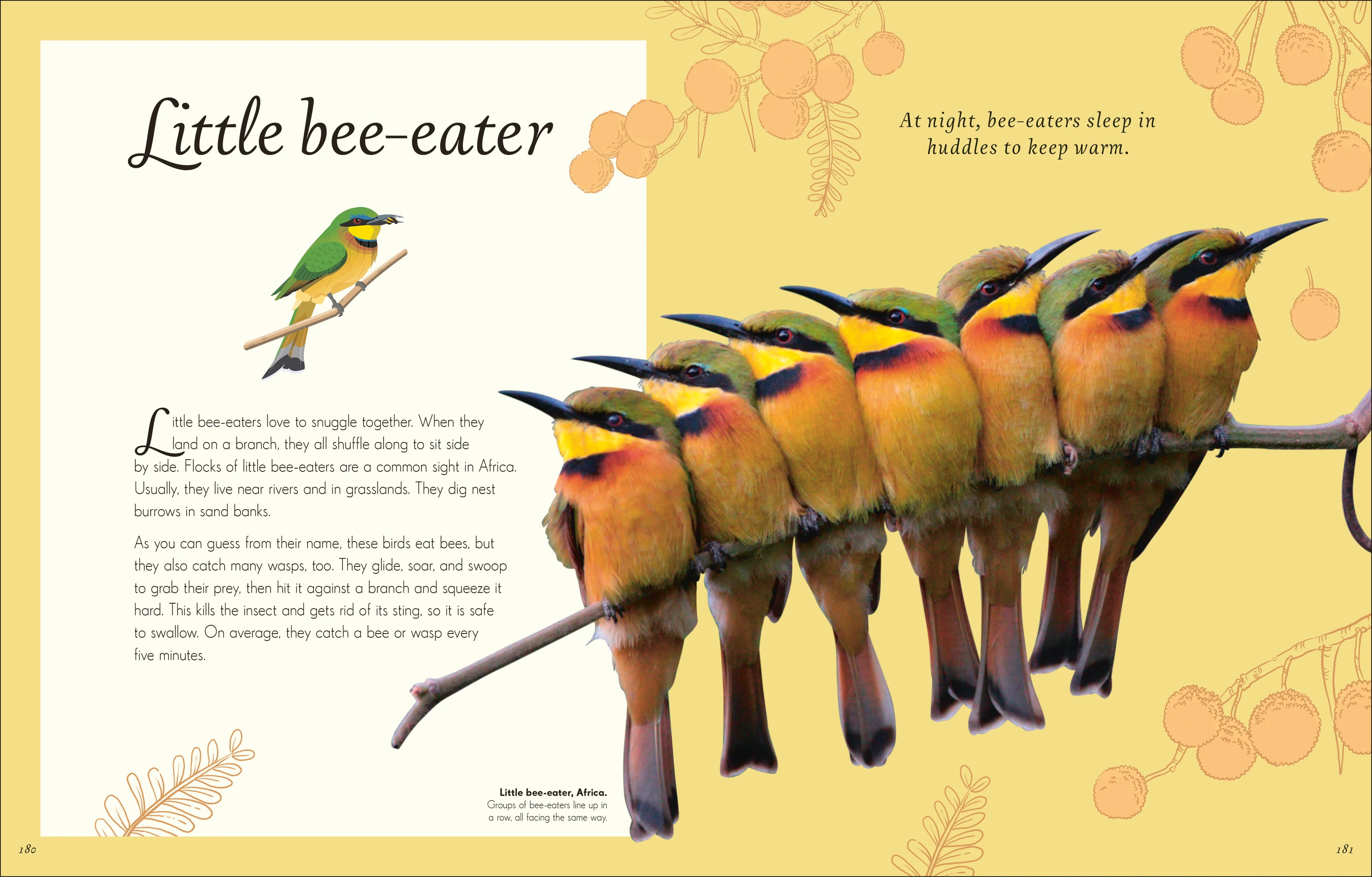 An Anthology of Exquisite Birds - Image 8
