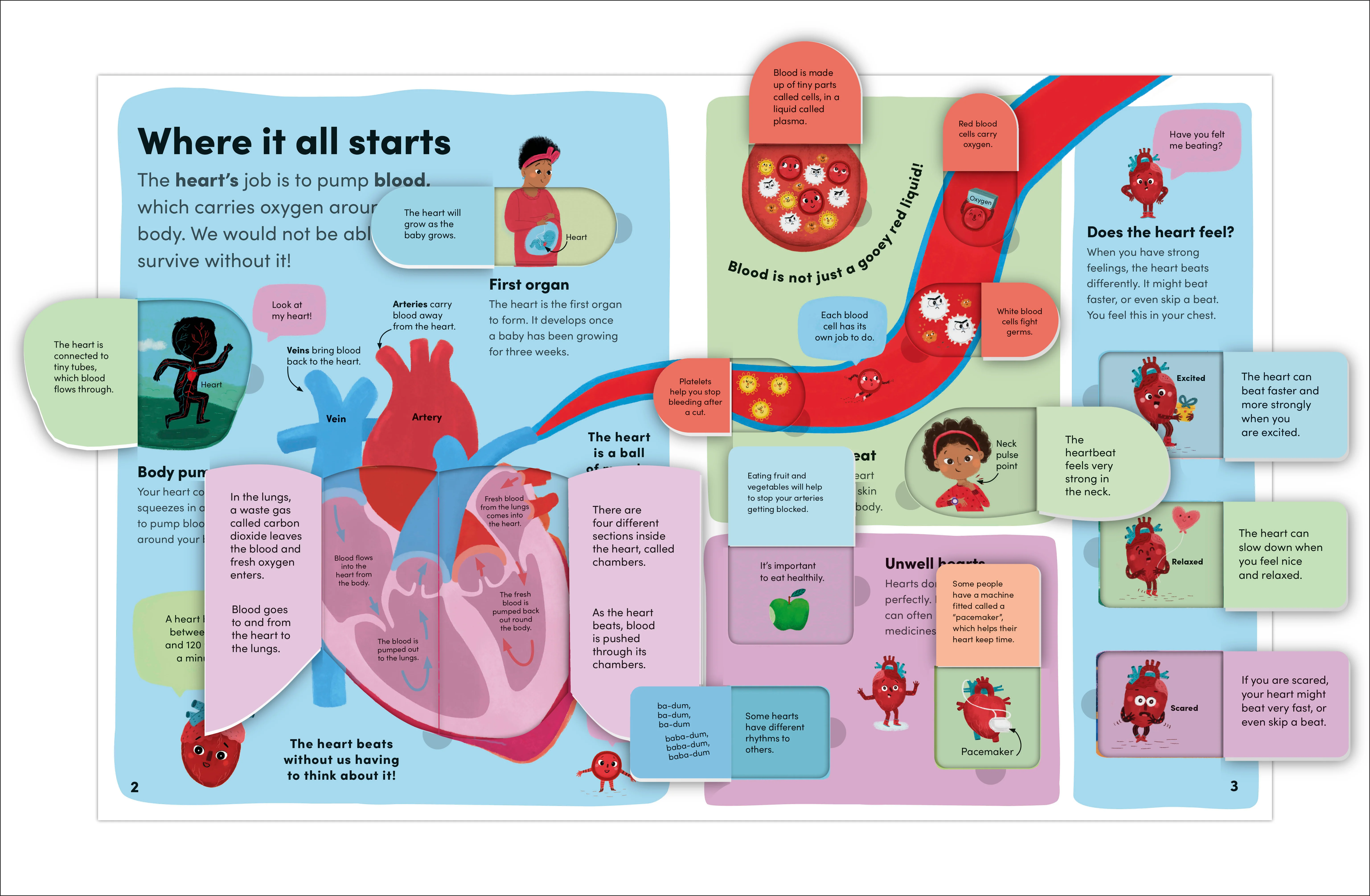 You and Your Body - Image 3