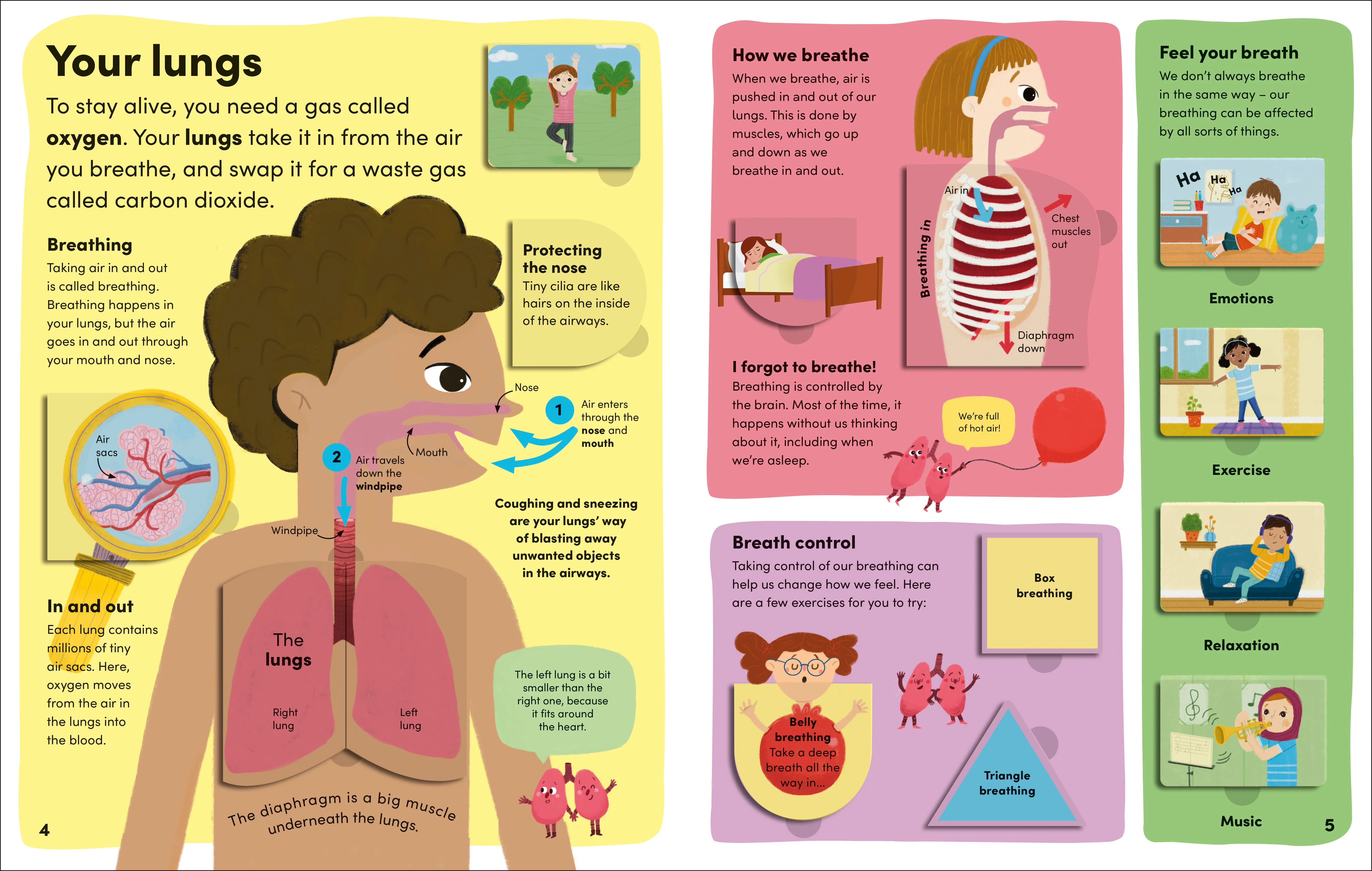 You and Your Body - Image 4