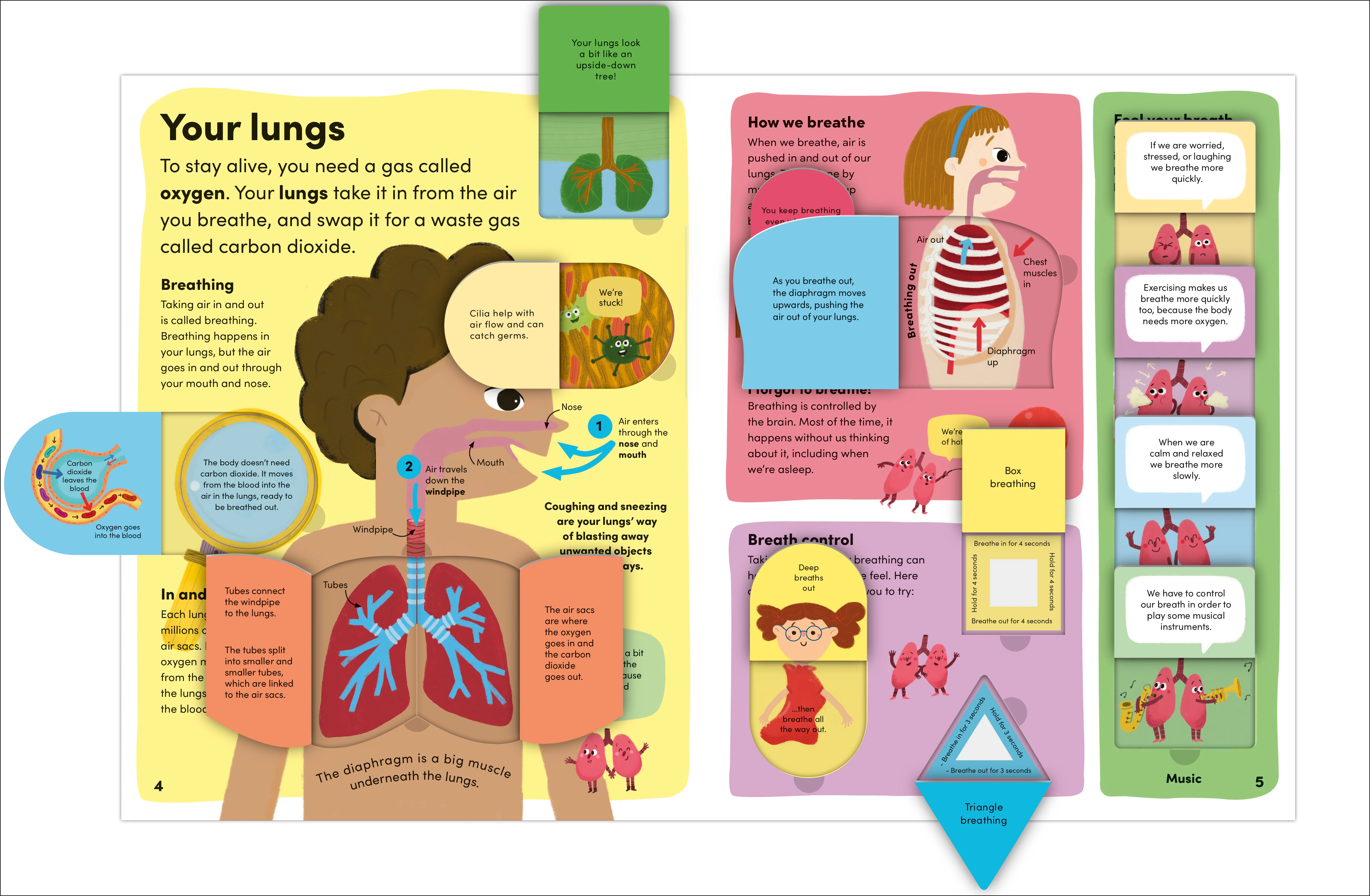 You and Your Body - Image 5