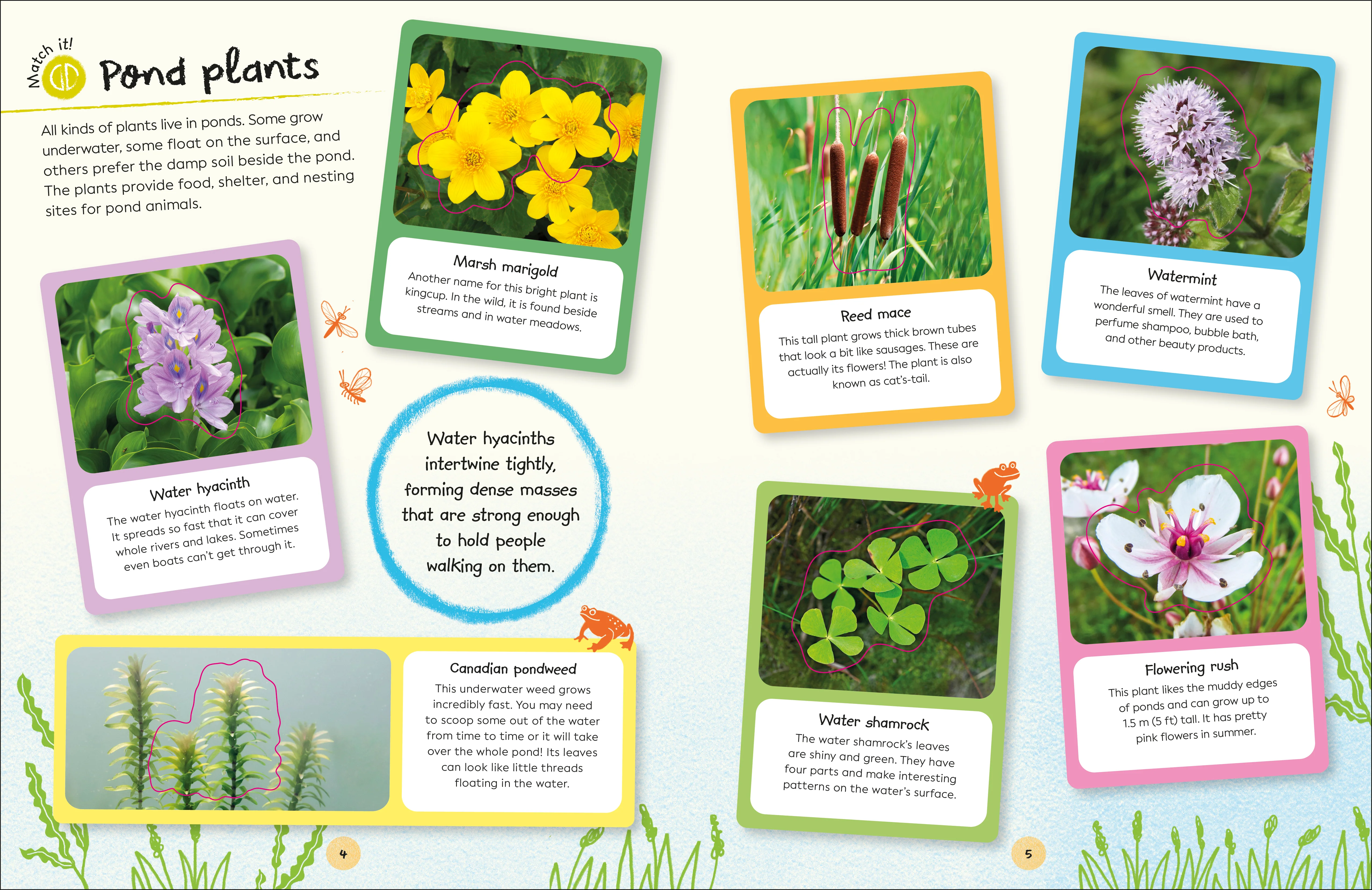 RHS Ultimate Sticker Book Garden Pond - Image 2
