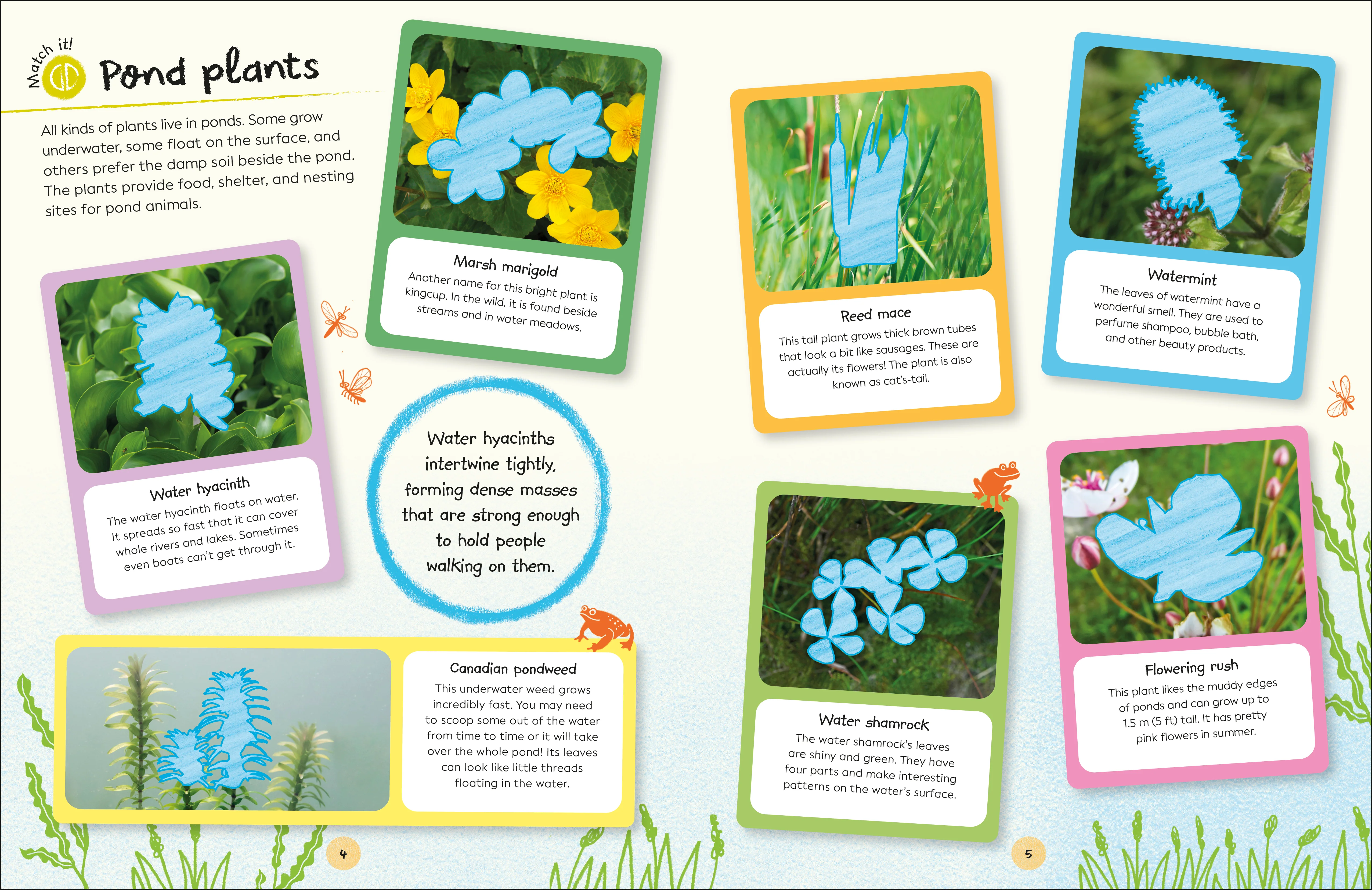RHS Ultimate Sticker Book Garden Pond - Image 3