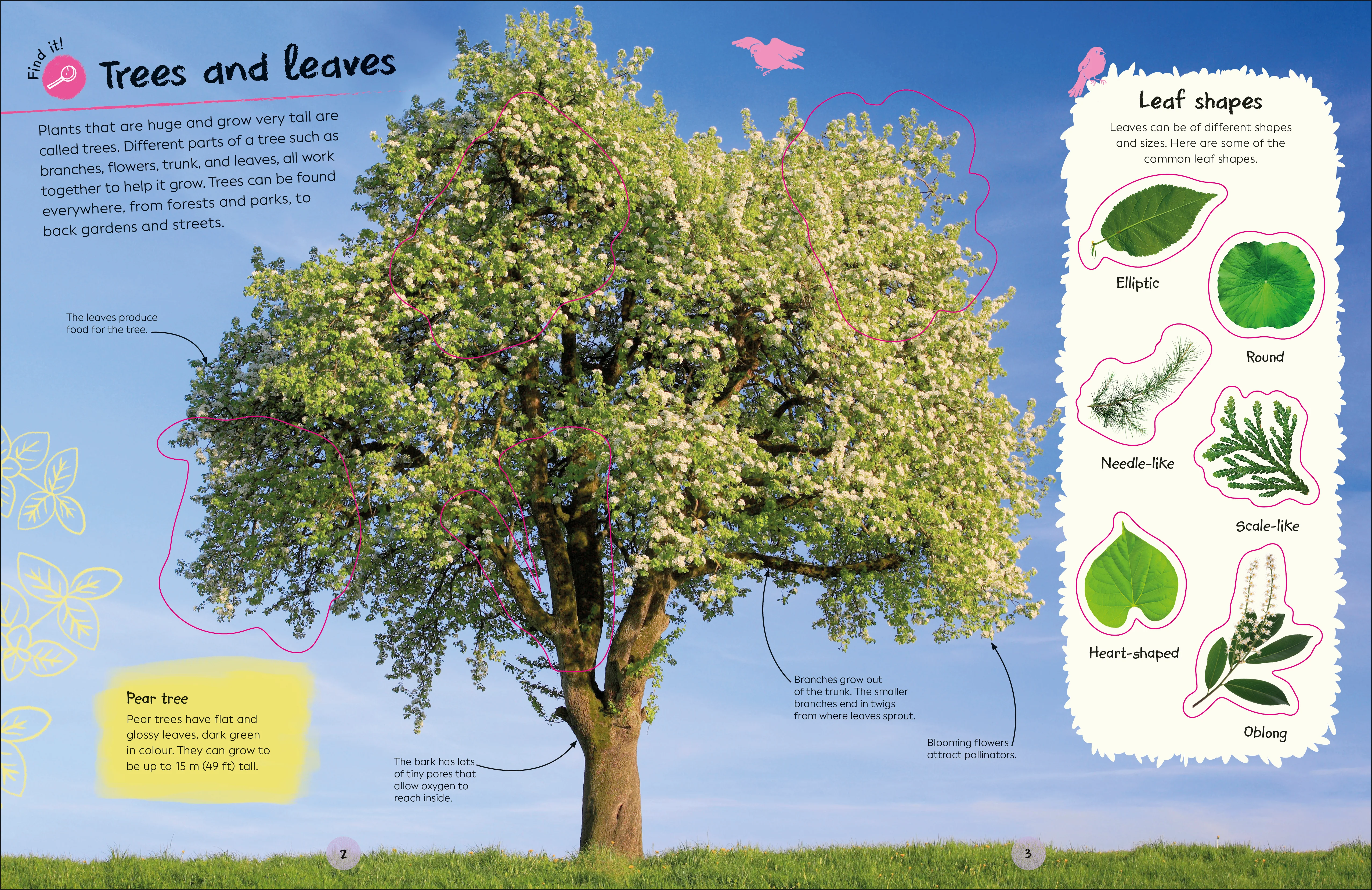 RHS Ultimate Sticker Book Trees and Leaves - Image 2