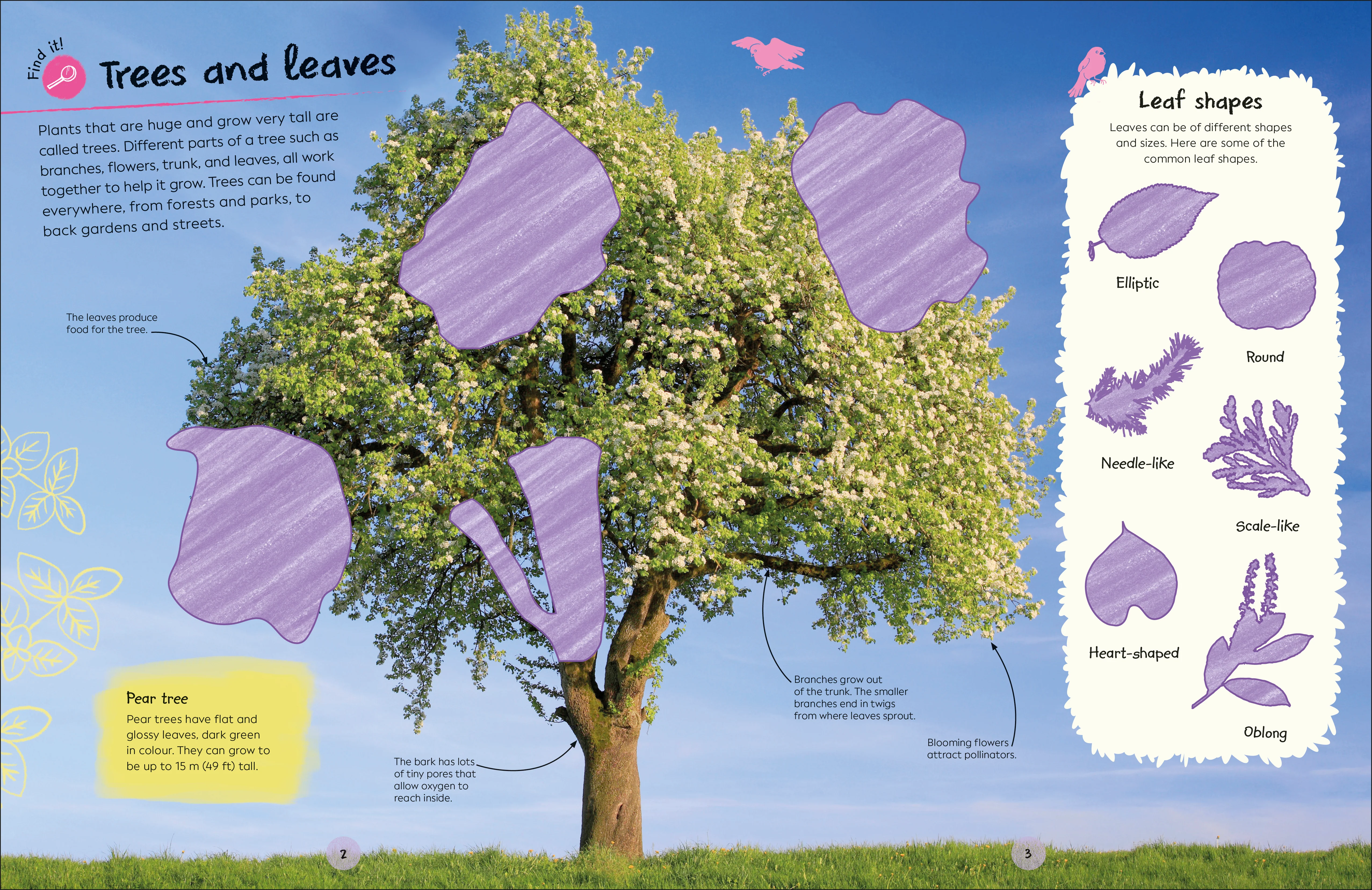 RHS Ultimate Sticker Book Trees and Leaves - Image 3