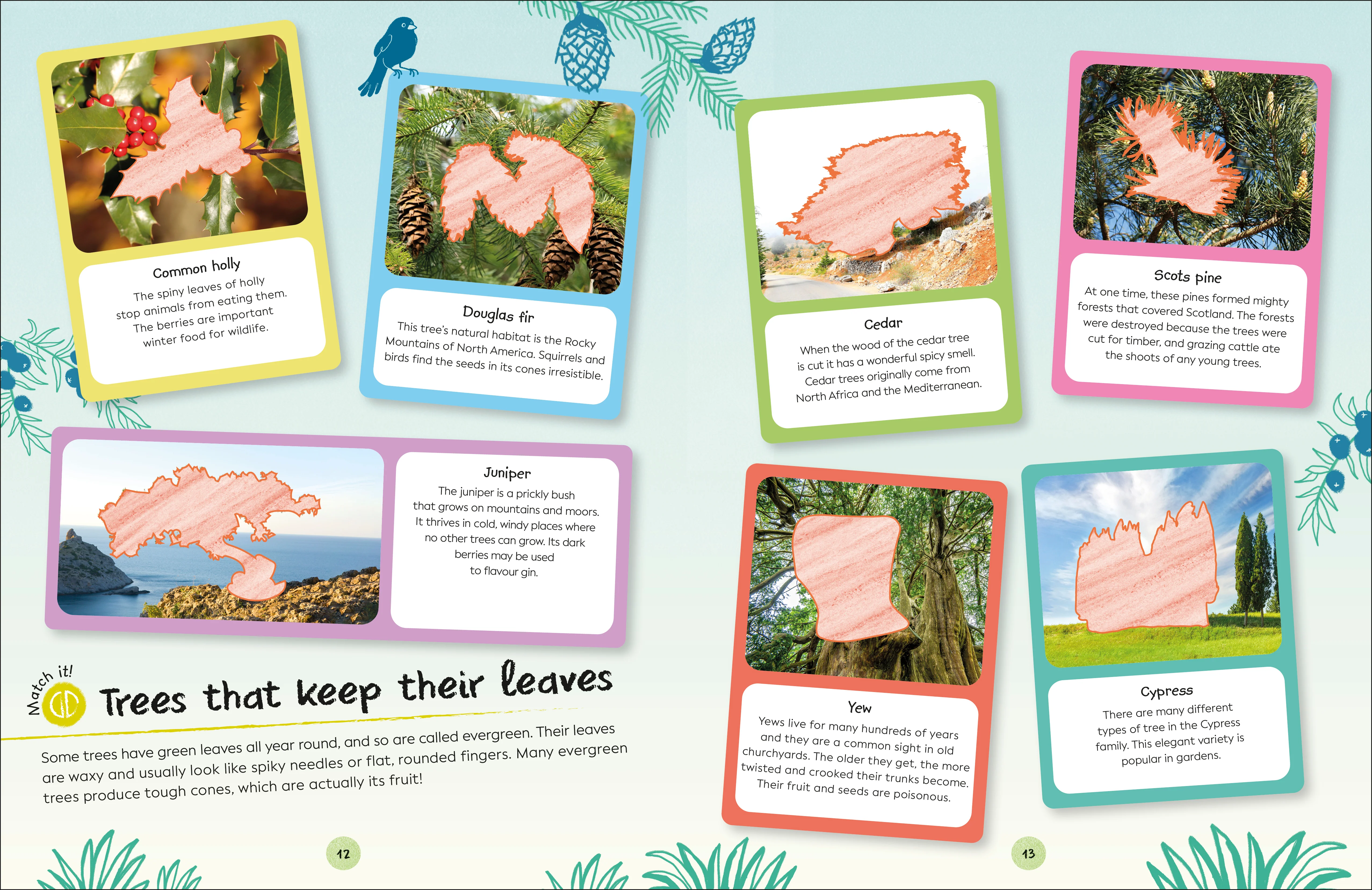 RHS Ultimate Sticker Book Trees and Leaves - Image 5