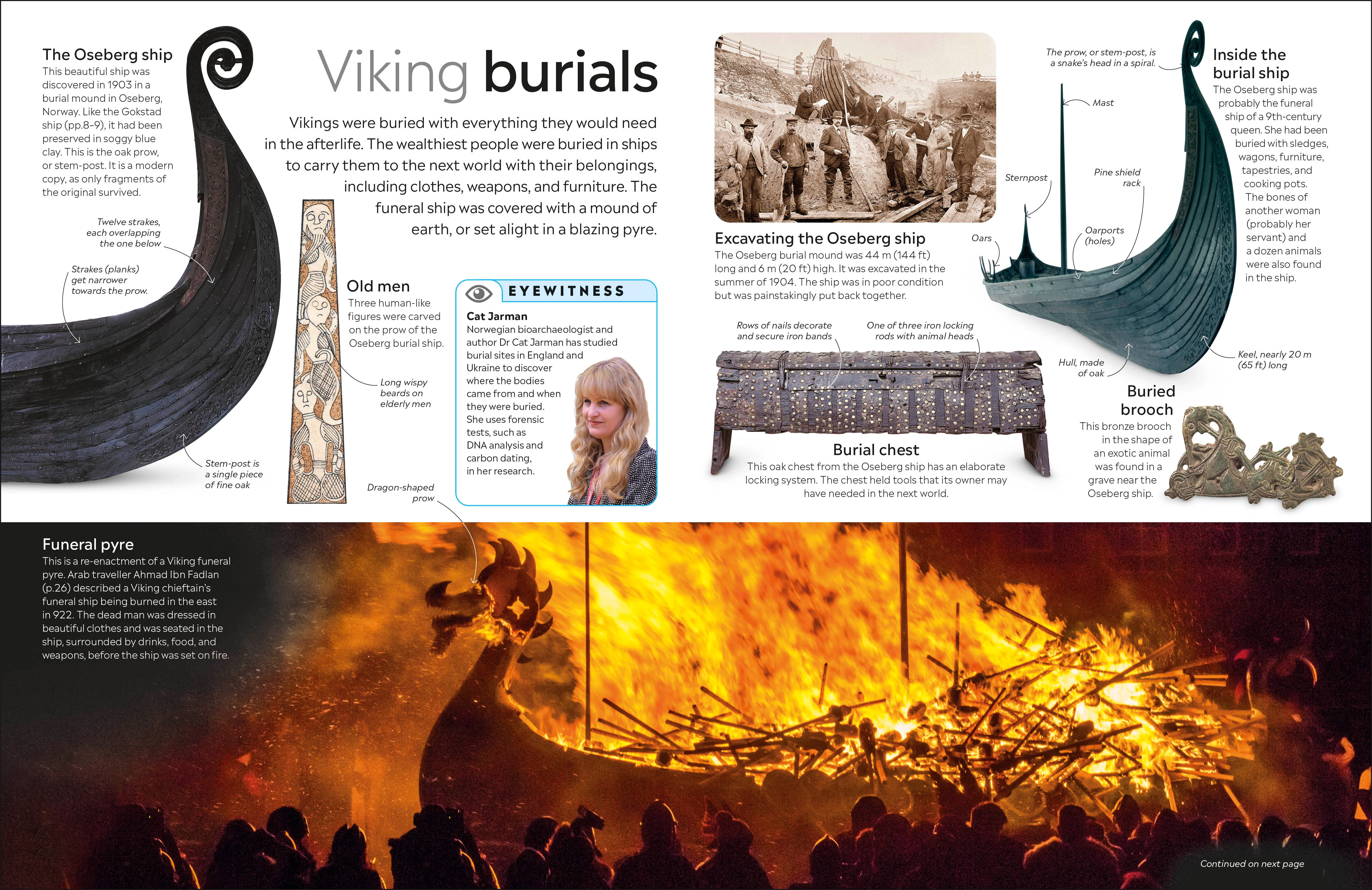 Viking - Image 5