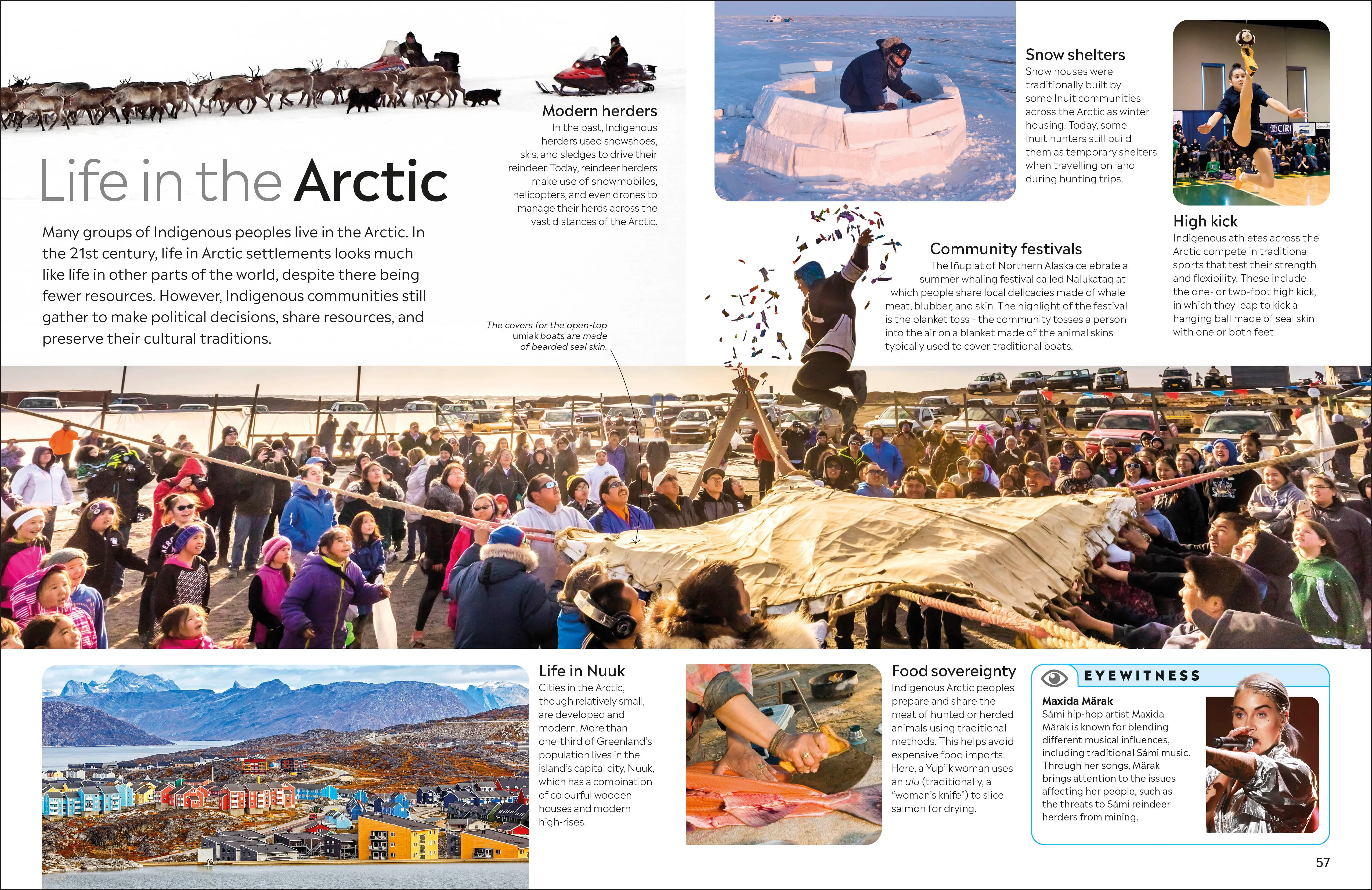 Arctic and Antarctic - Image 4