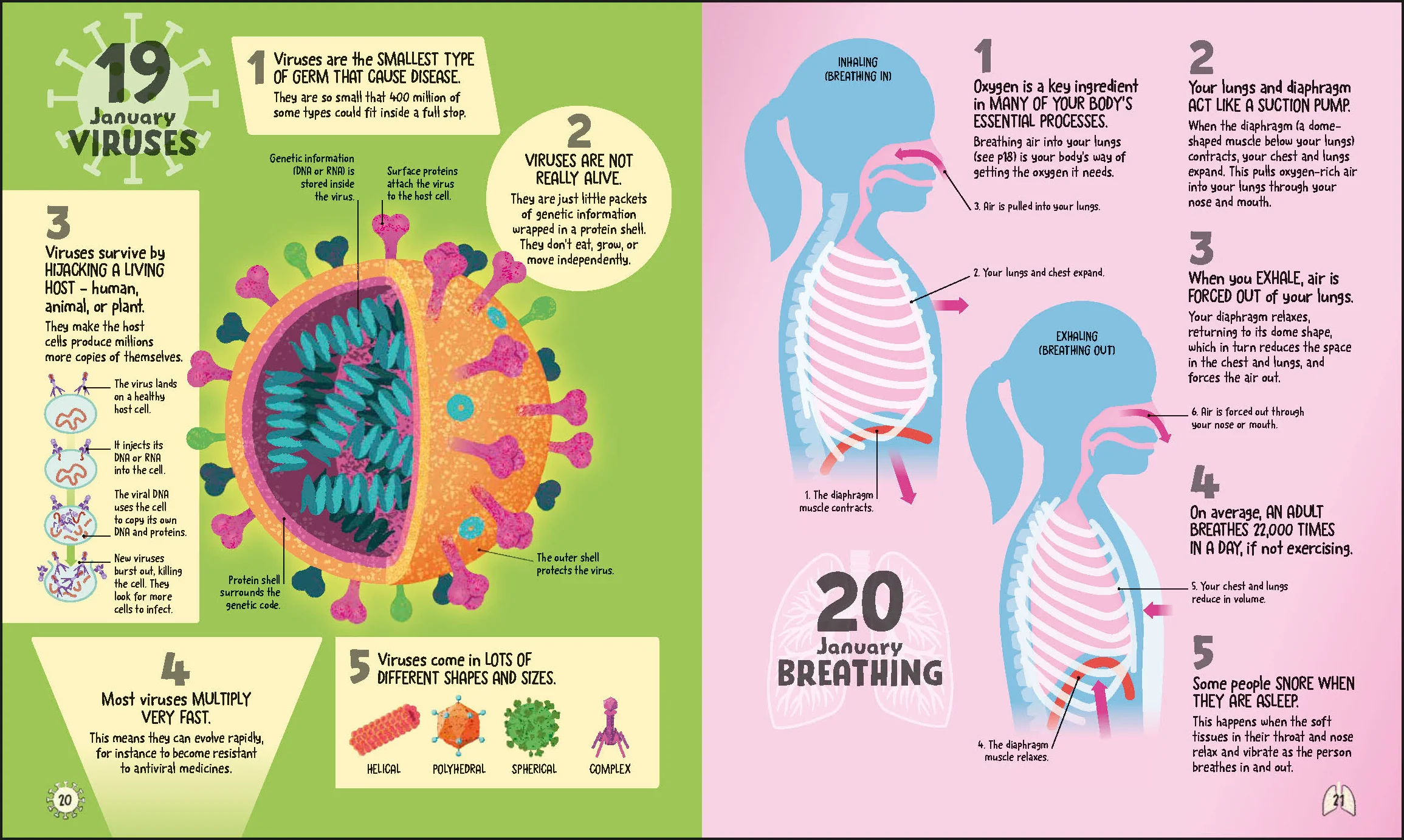 5 Facts a Day Science - Image 2