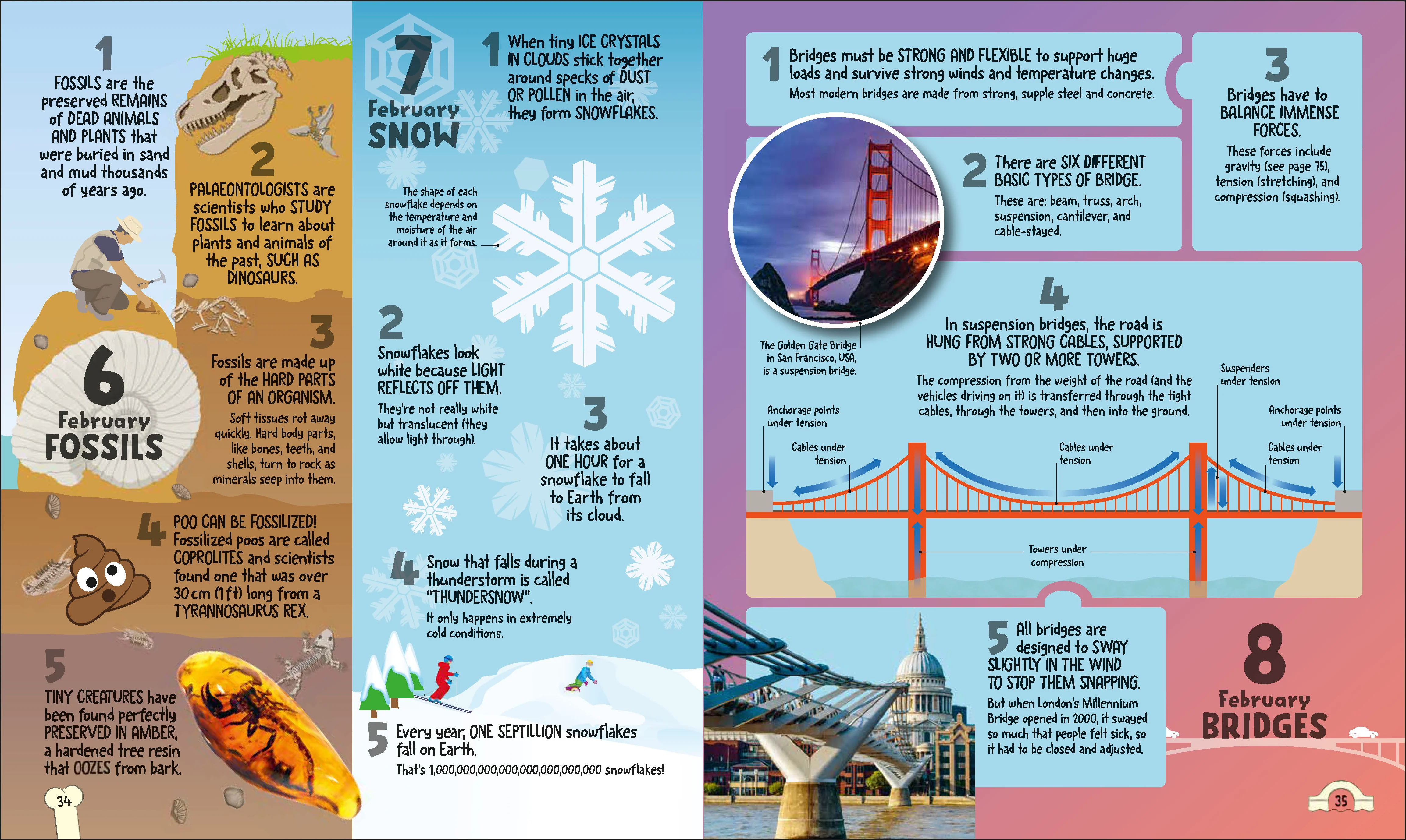 5 Facts a Day Science - Image 4