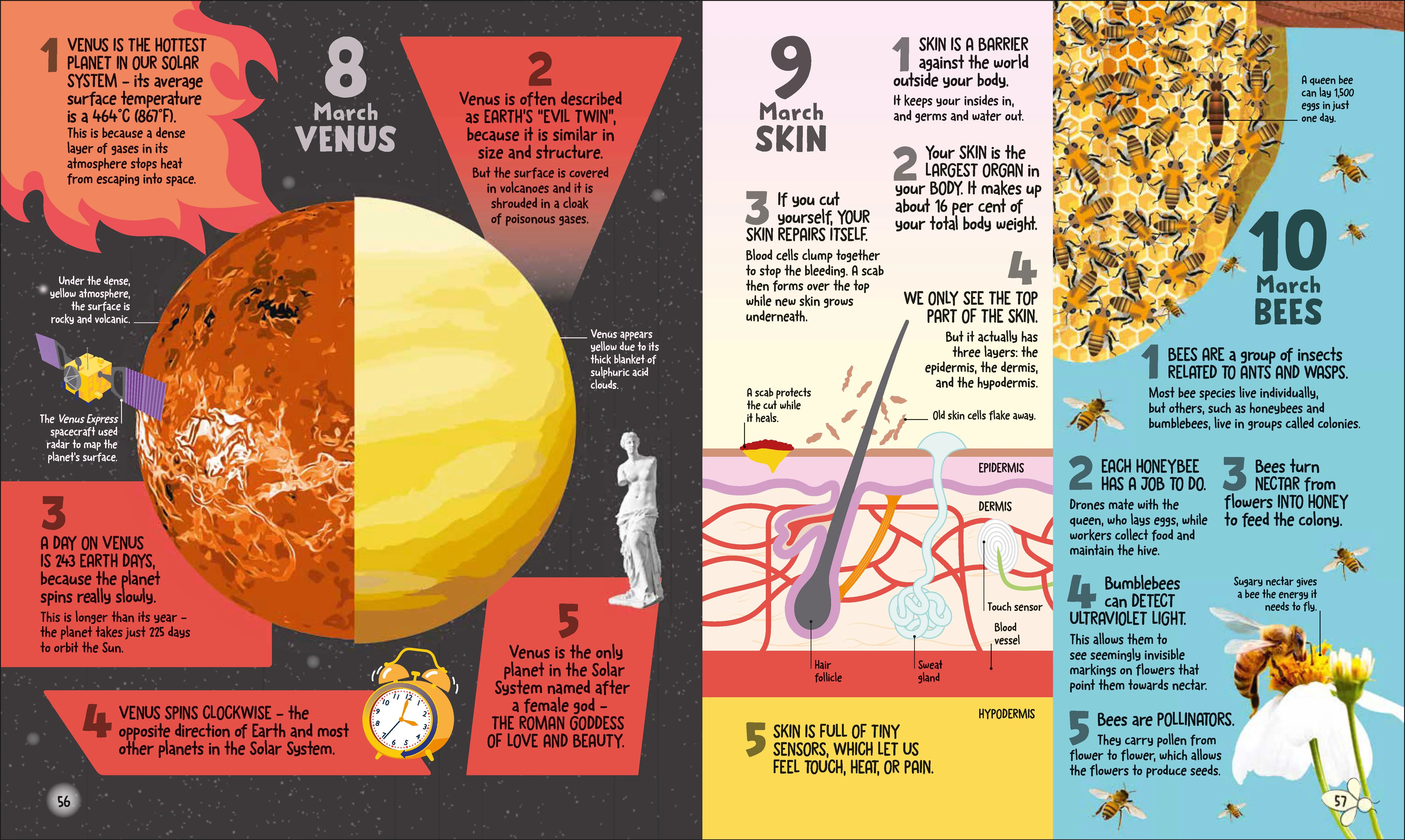 5 Facts a Day Science - Image 5