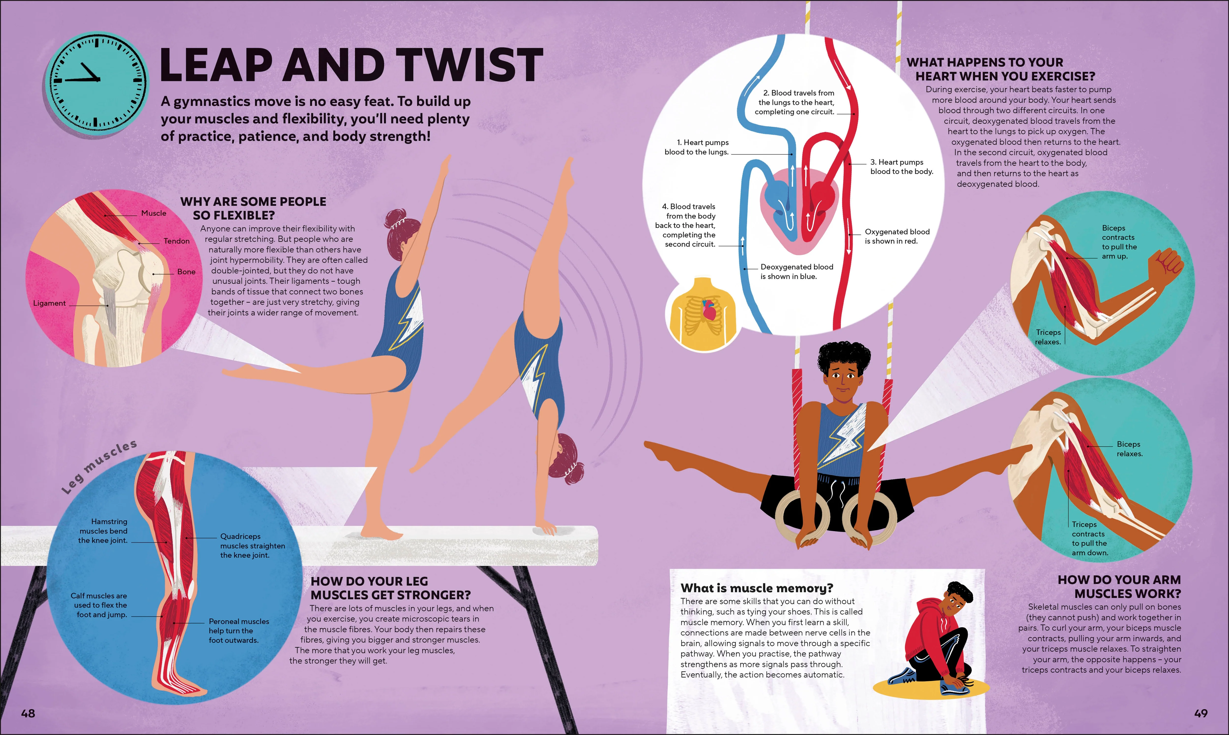 A Day in the Life of Your Body - Image 3