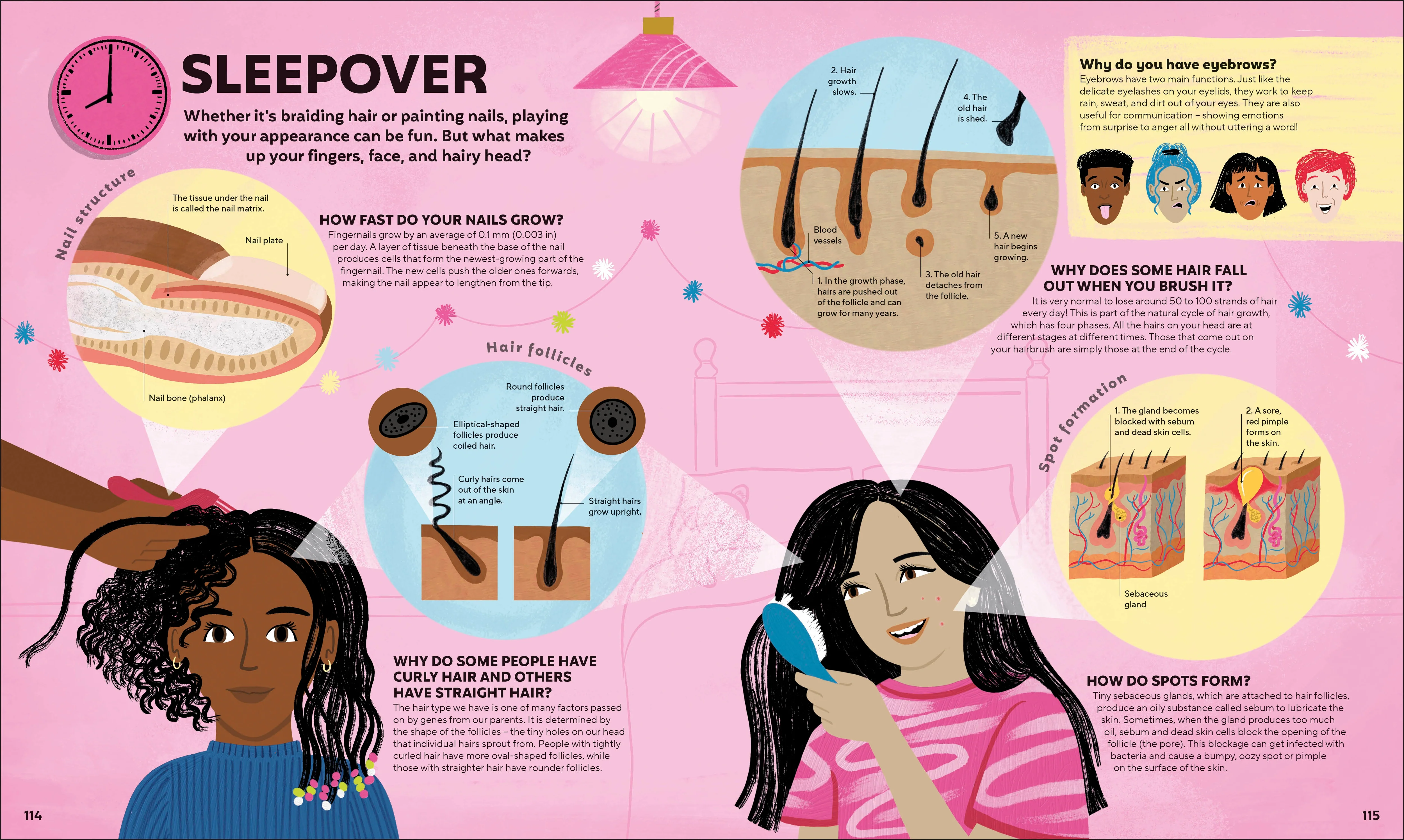 A Day in the Life of Your Body - Image 4