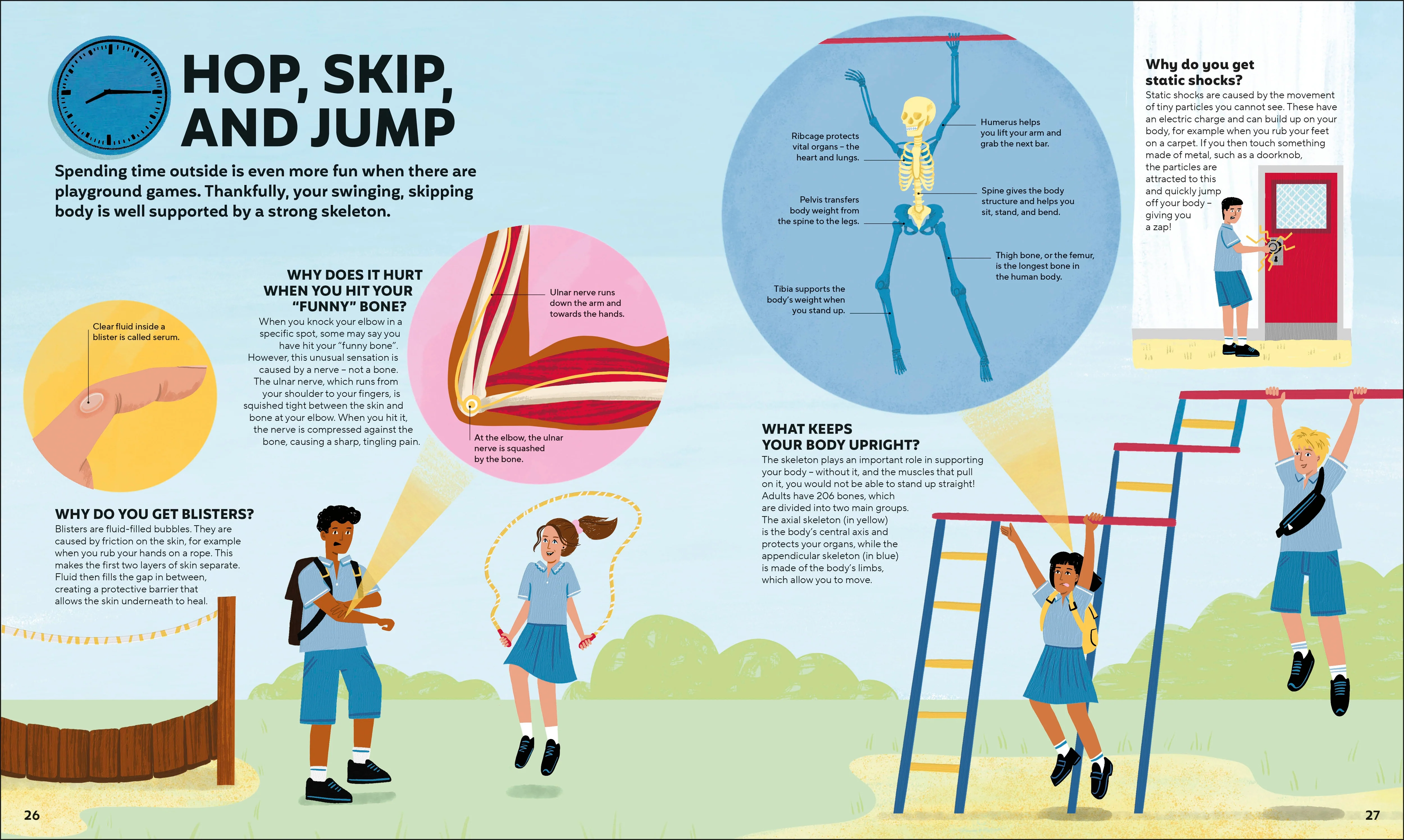 A Day in the Life of Your Body - Image 5