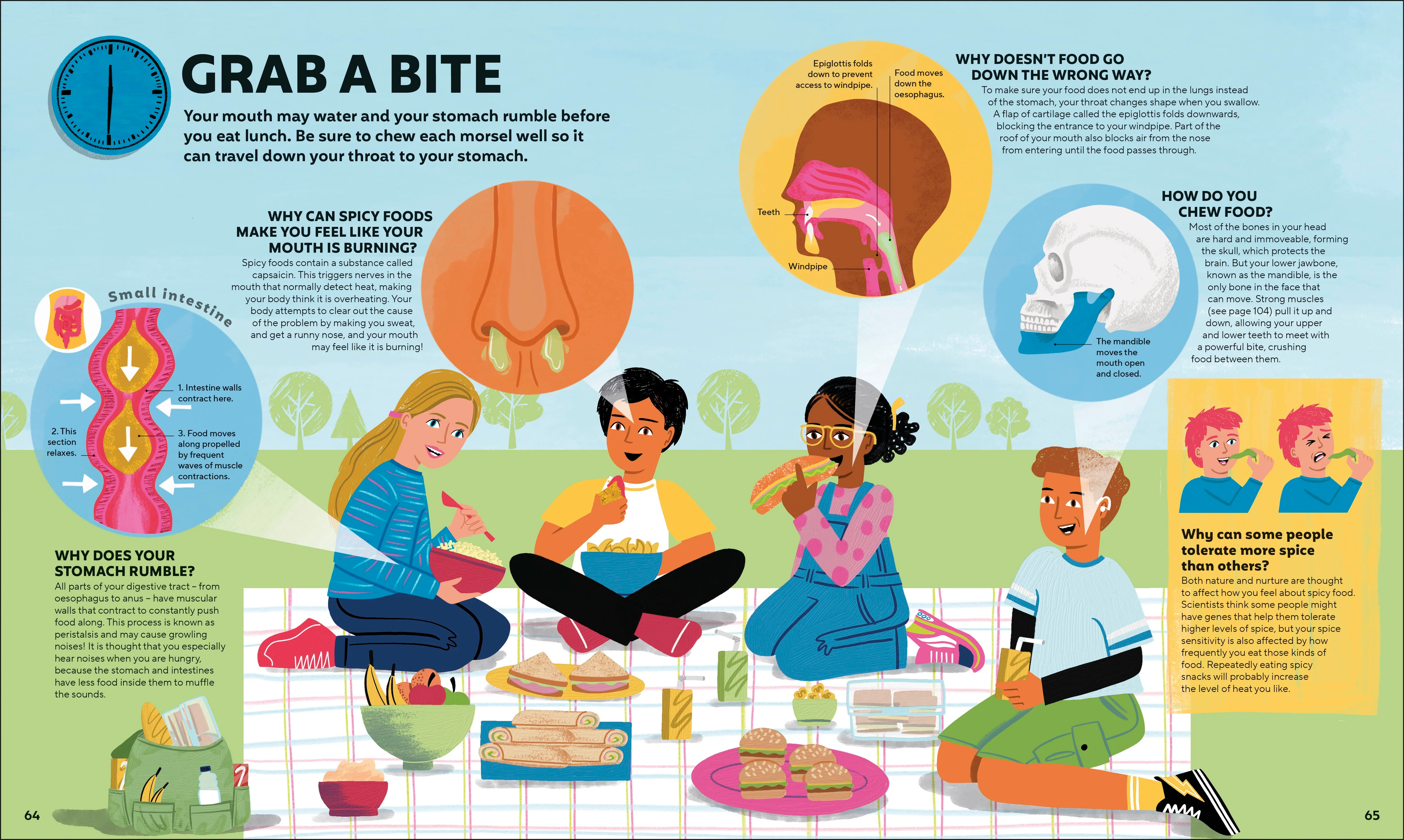 A Day in the Life of Your Body - Image 8