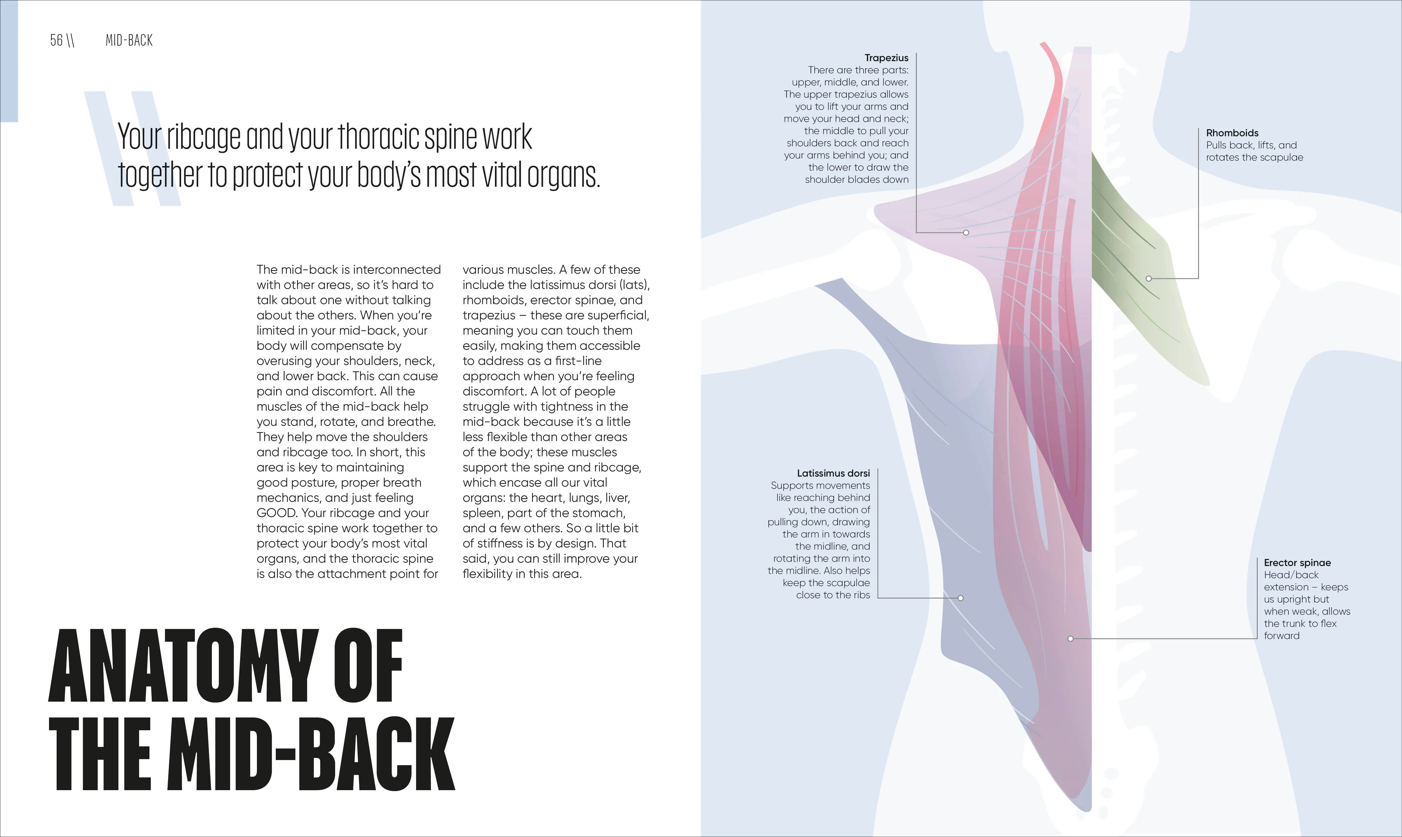 Yoga Fix - Image 5