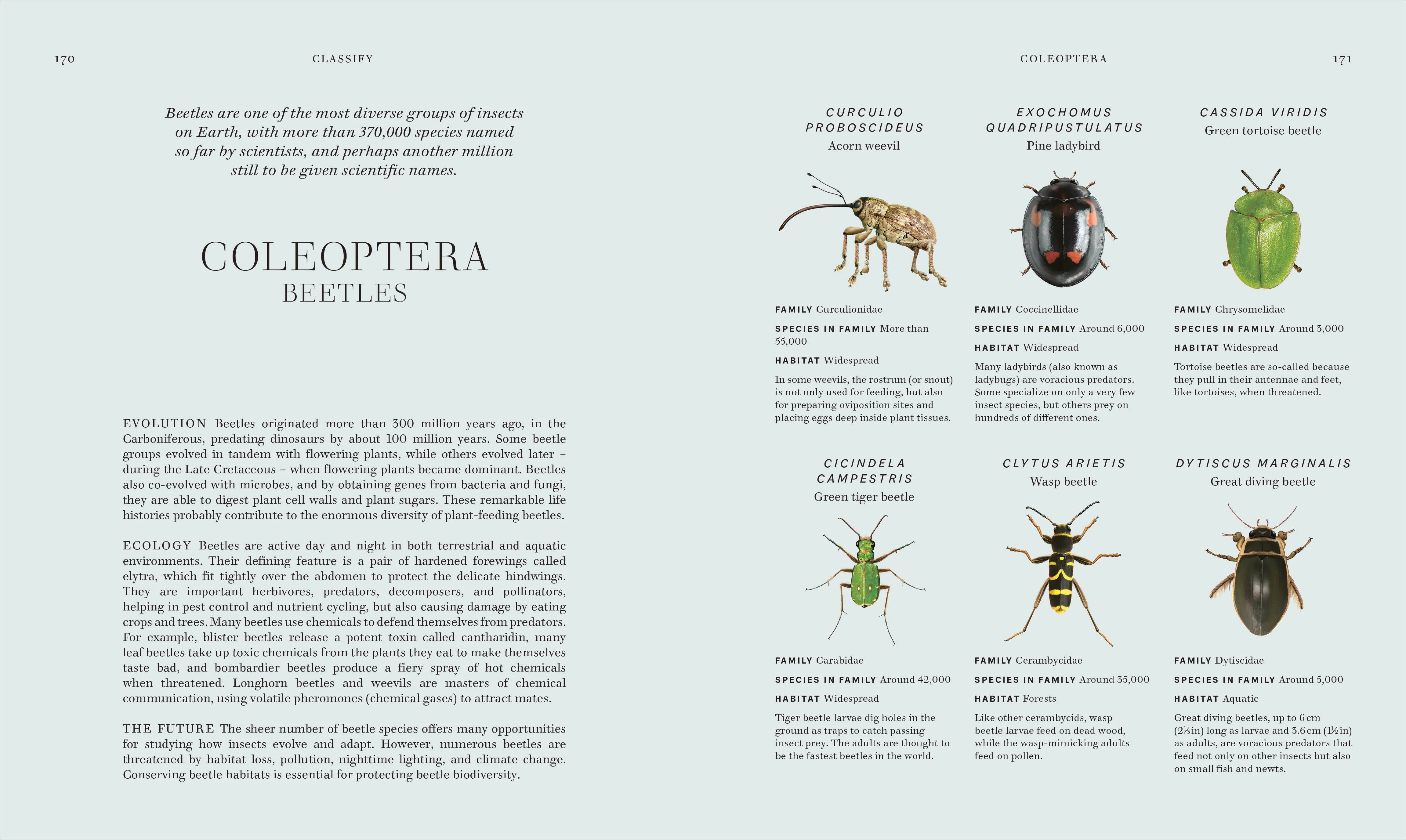 RES Insects - Image 7