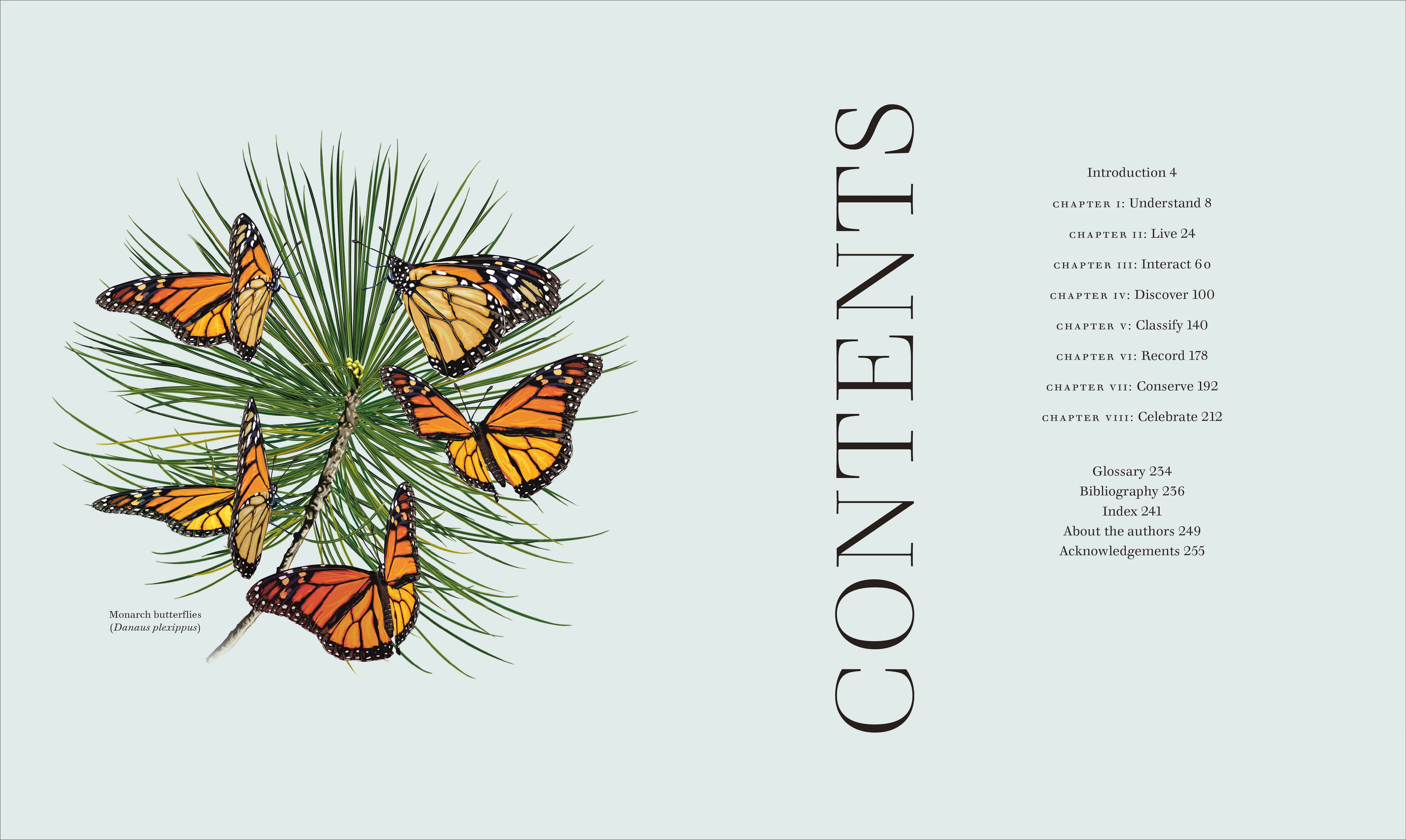 RES Insects - Image 2