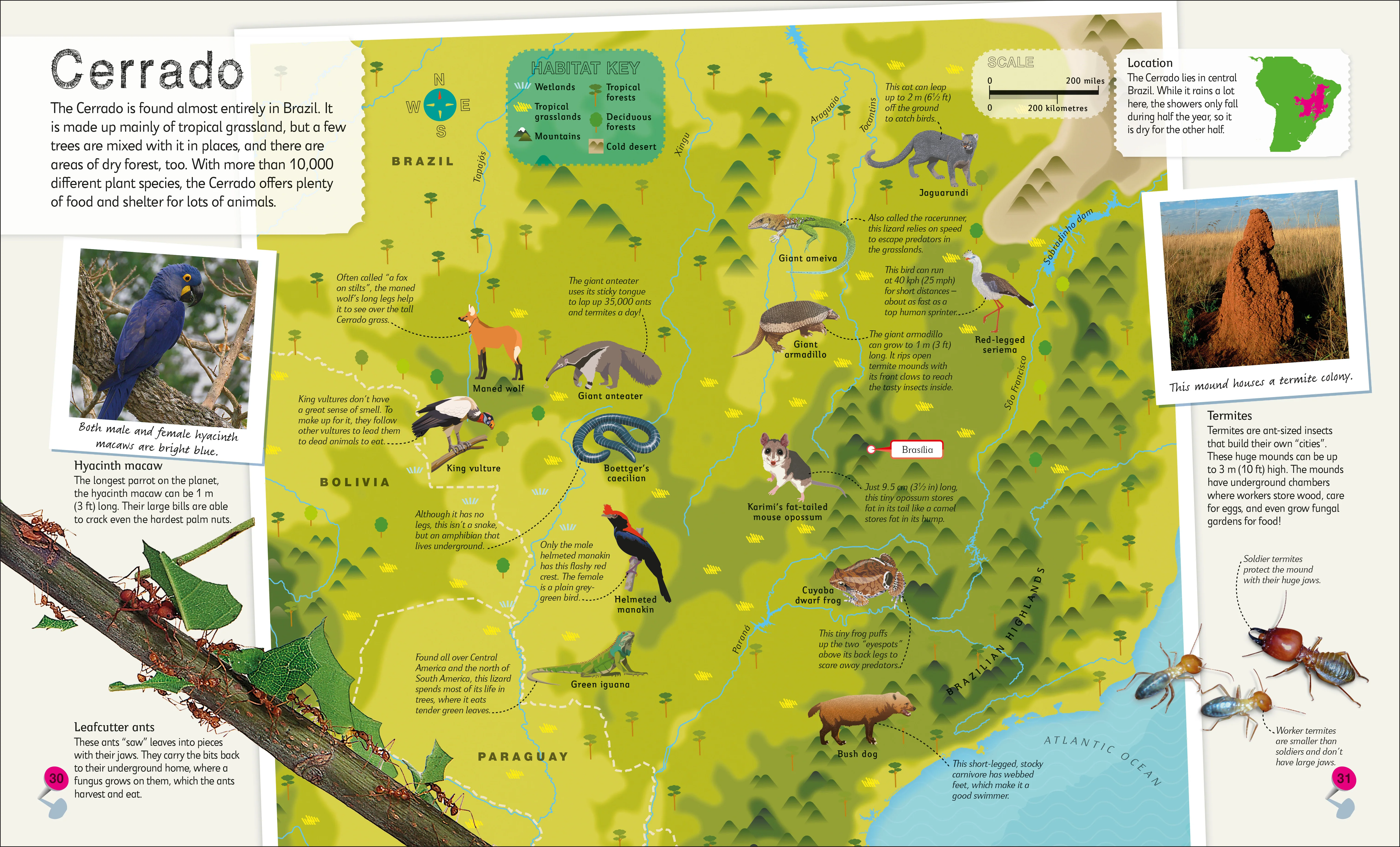 Children's Illustrated Atlas Collection - Image 5