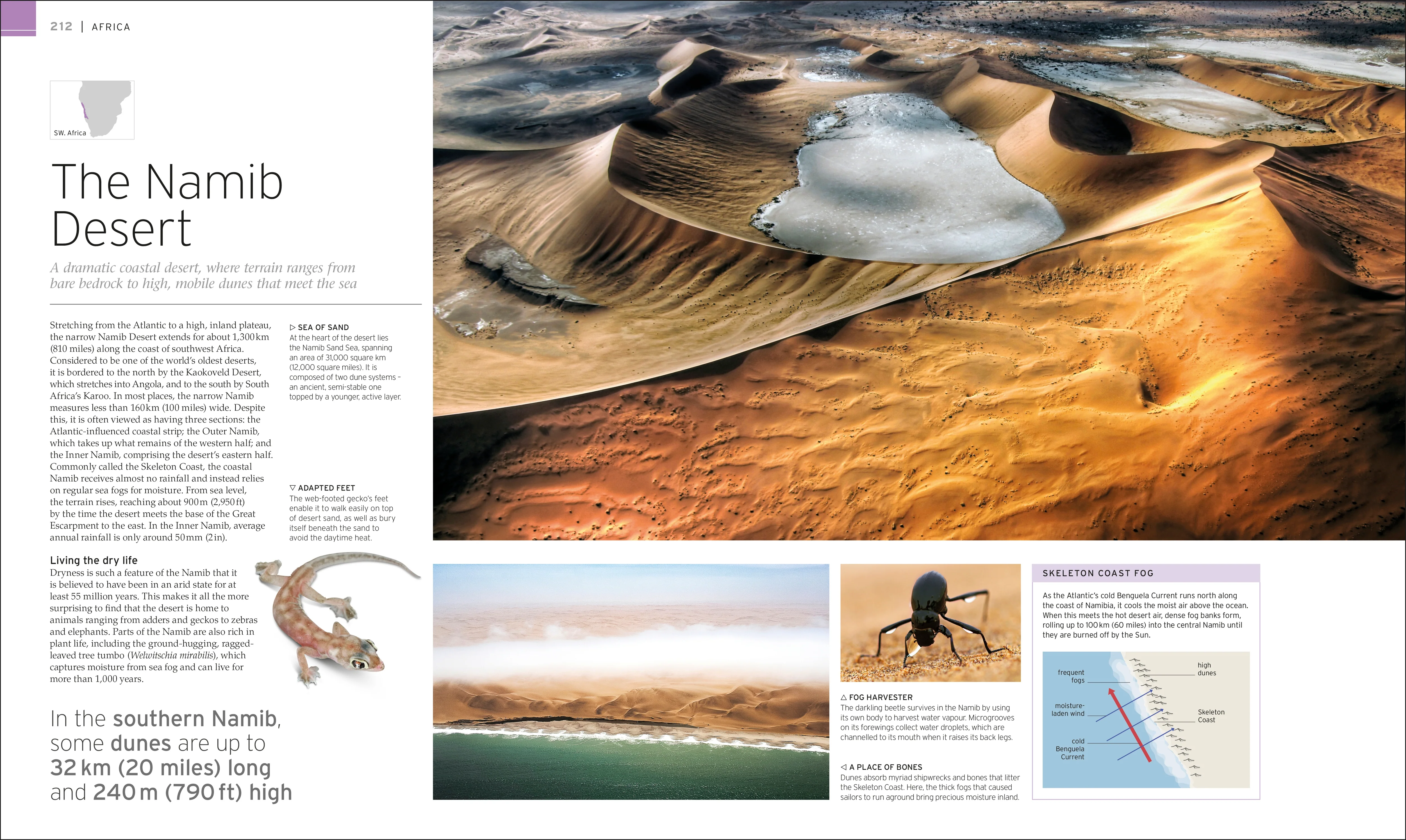 Natural Wonders of the World - Image 6