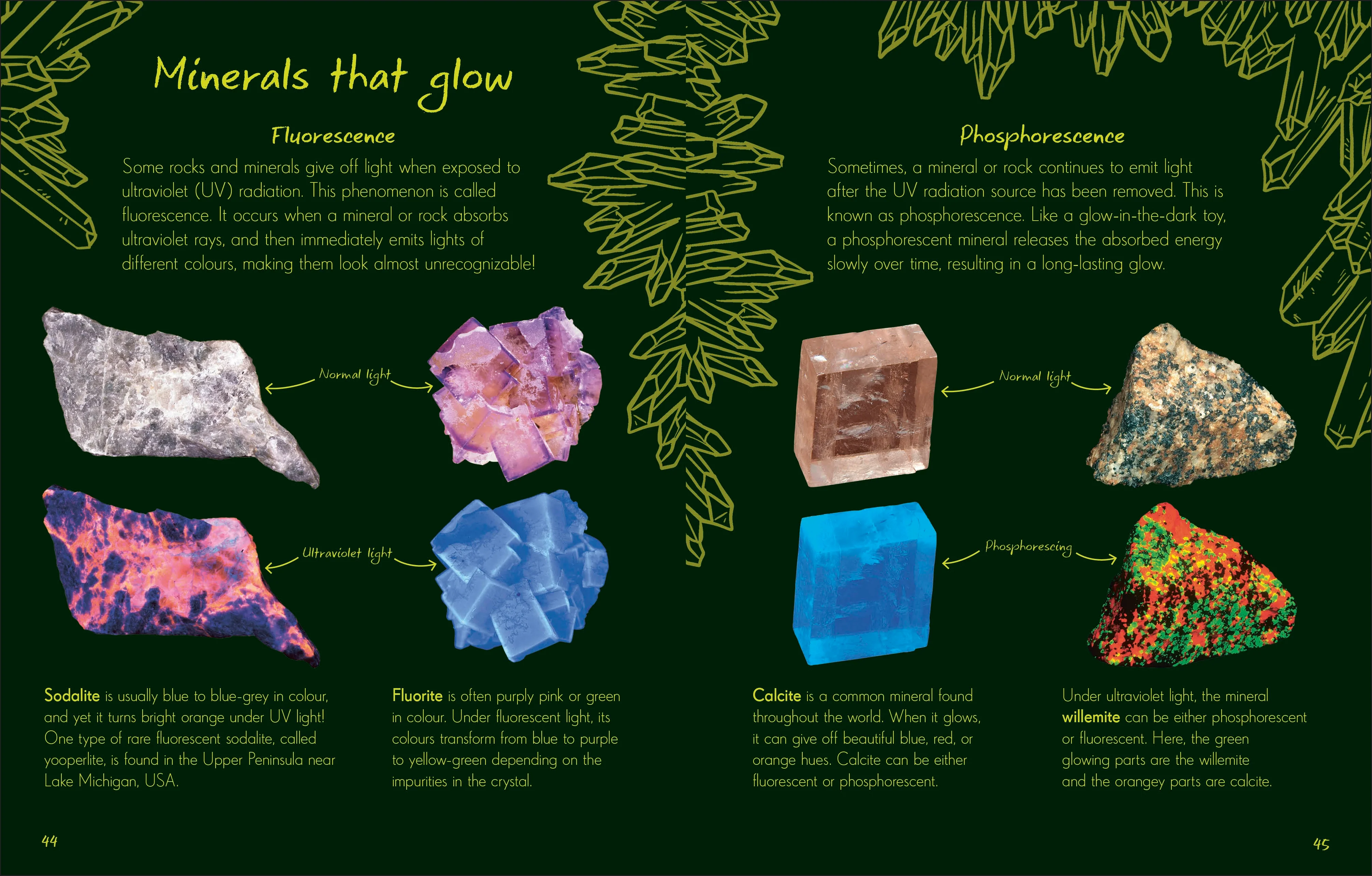 An Anthology of Rocks and Minerals - Image 2