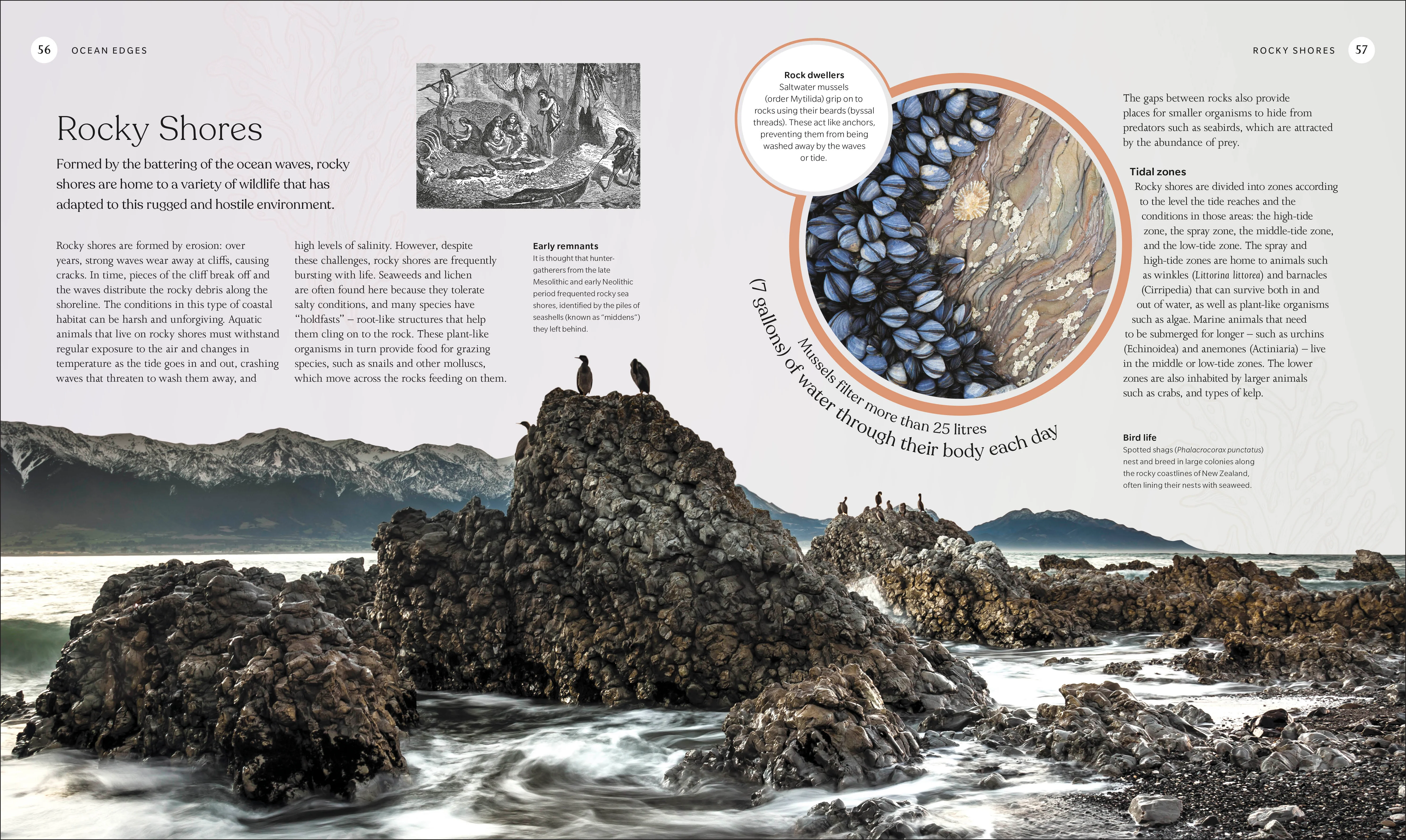 The Ocean Book - Image 2