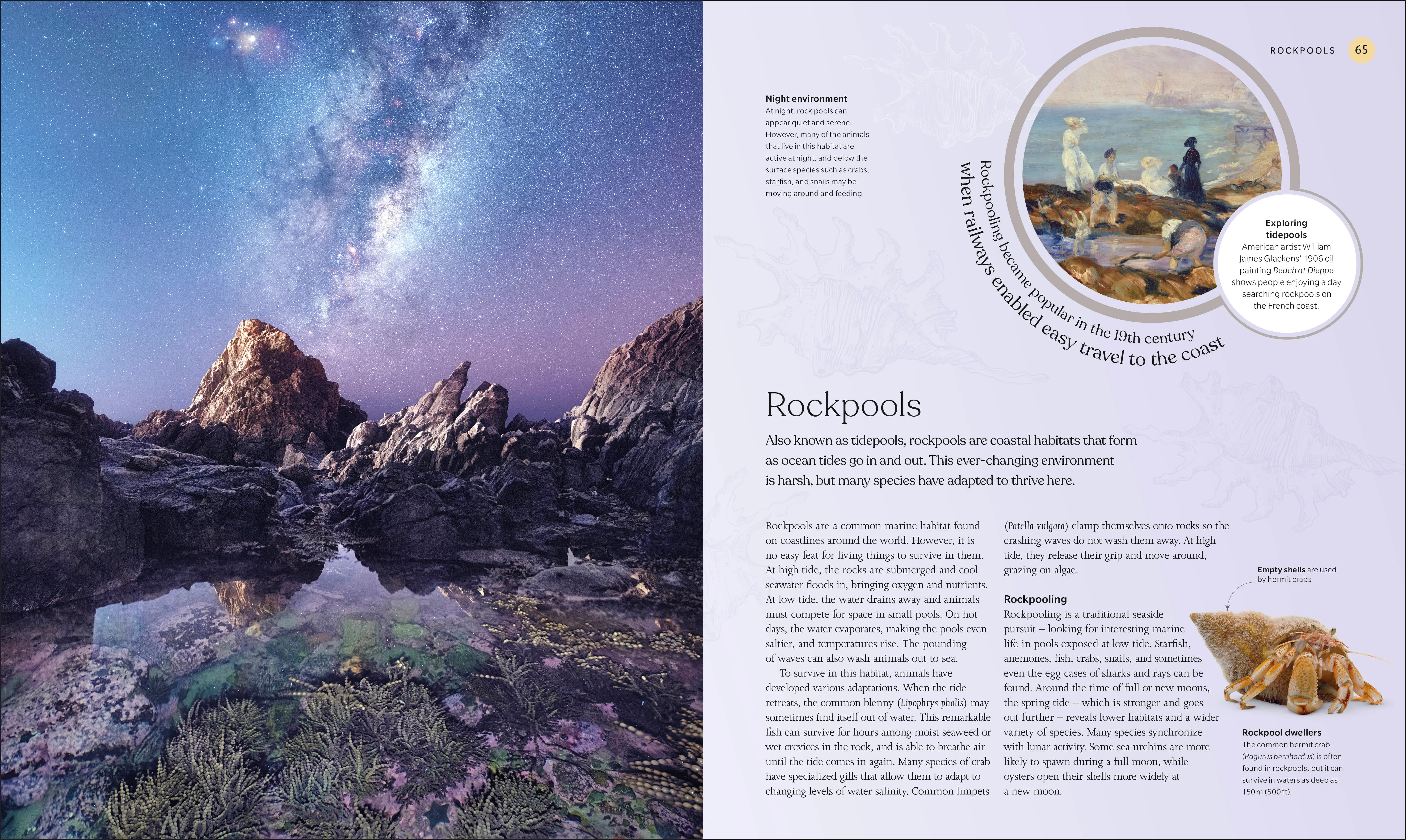 The Ocean Book - Image 3