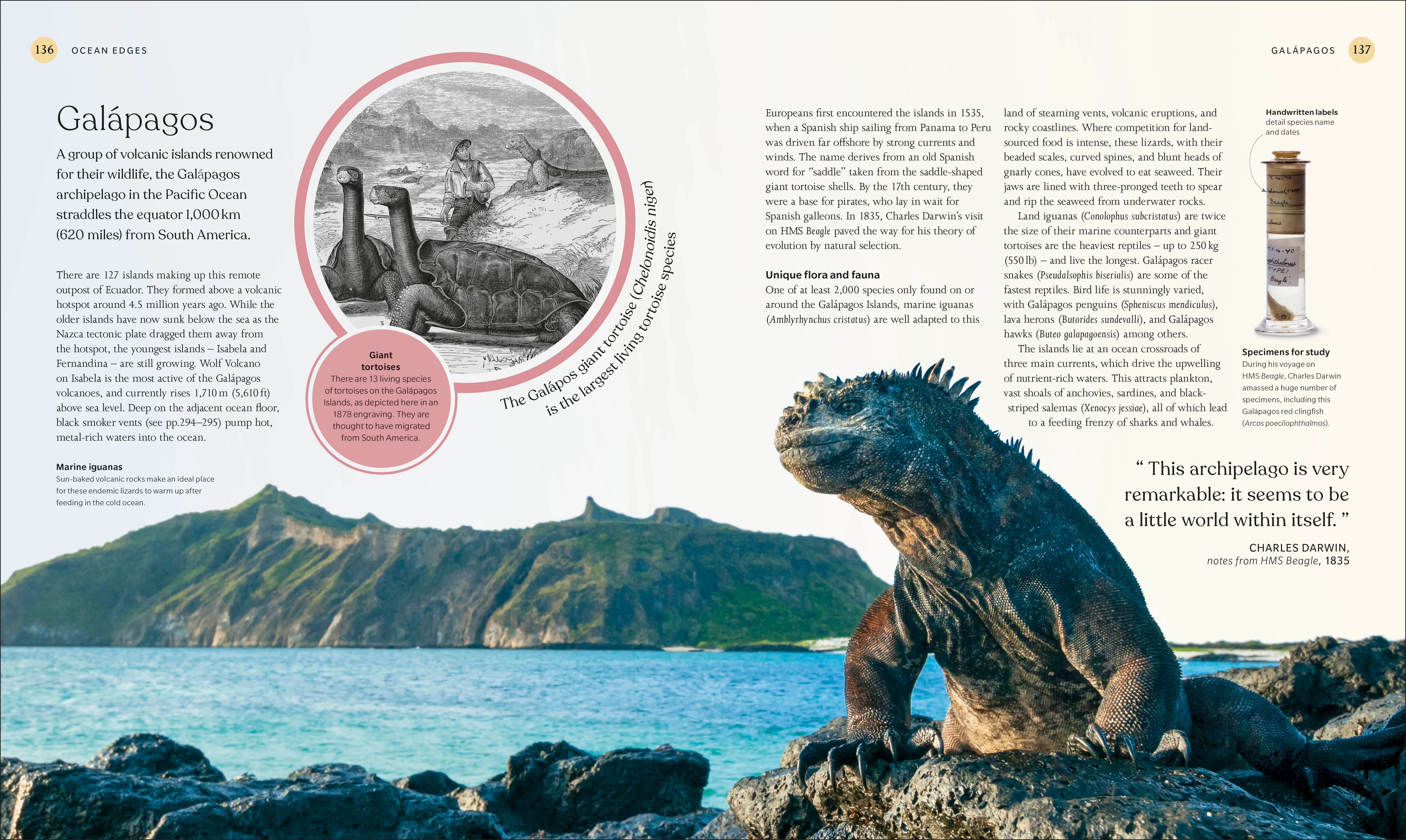 The Ocean Book - Image 4
