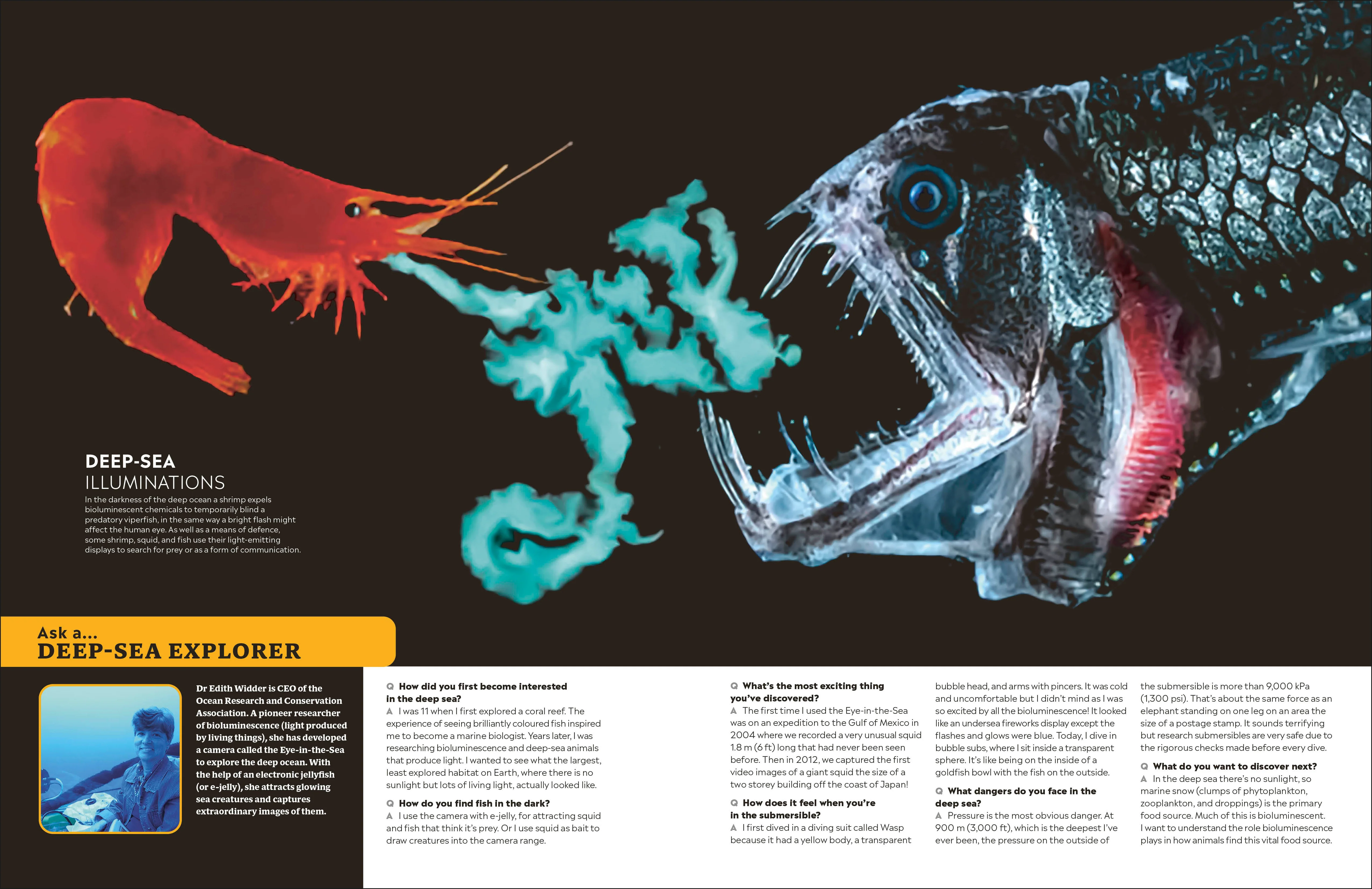 Eyewitness Encyclopedia of Animals - Image 3