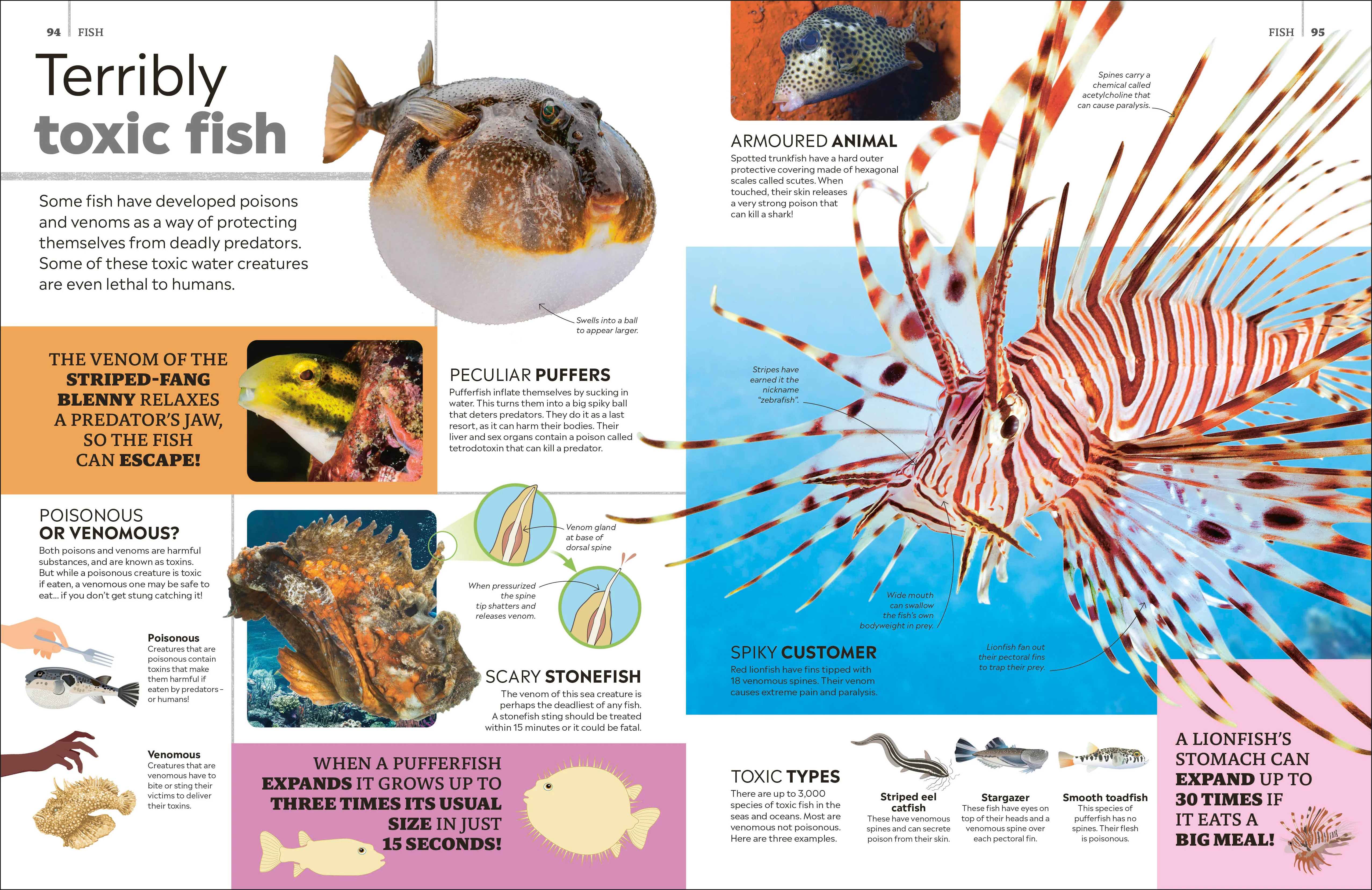 Eyewitness Encyclopedia of Animals - Image 4