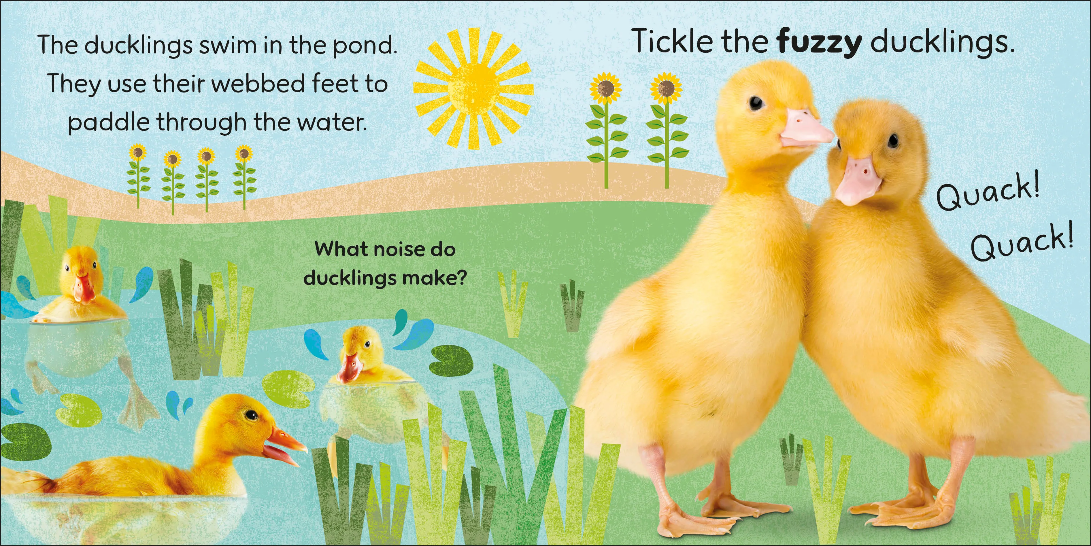 Touch and Feel Farm - Image 2