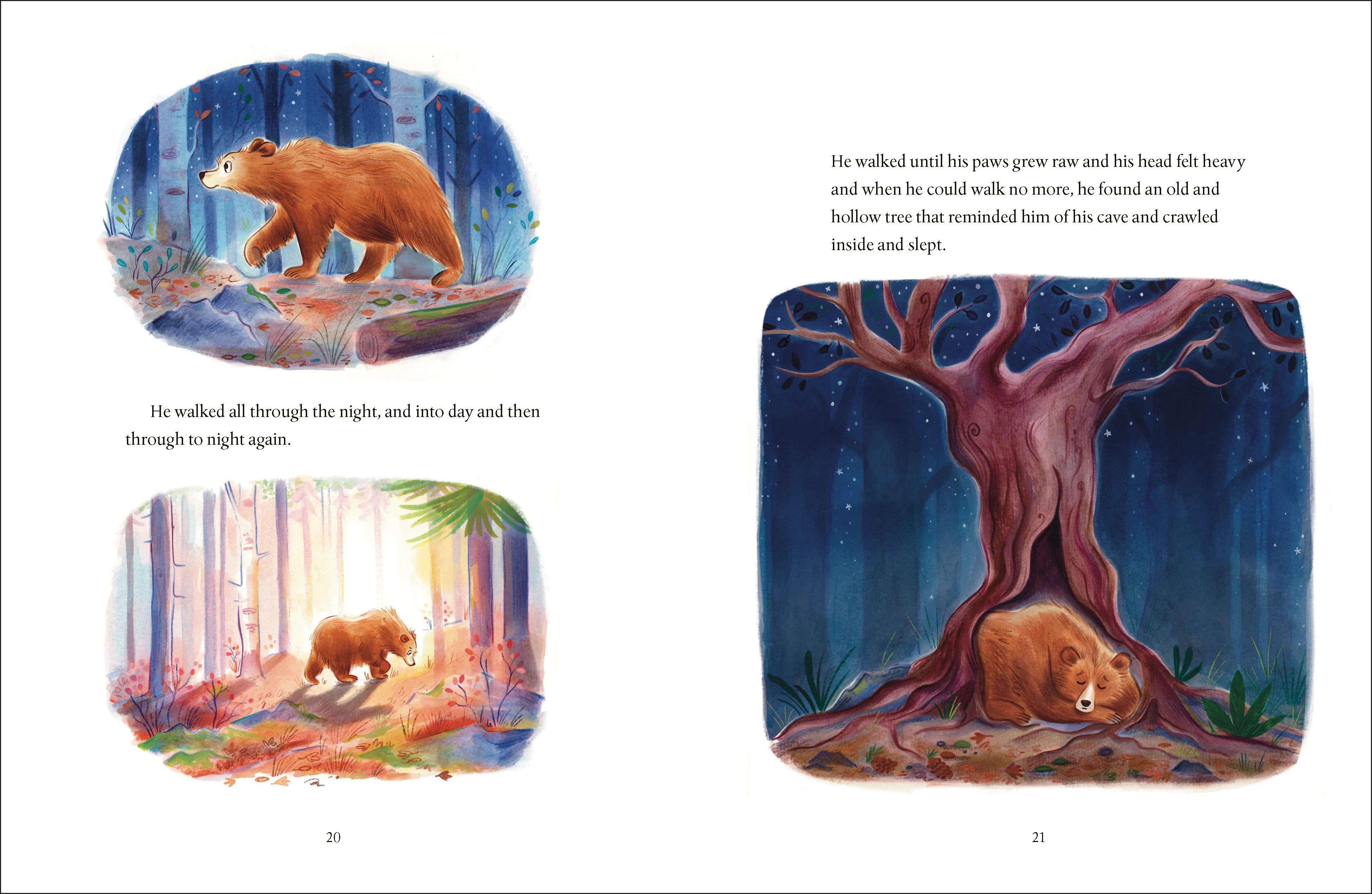 The Bear Who Loved the Moon - Image 3