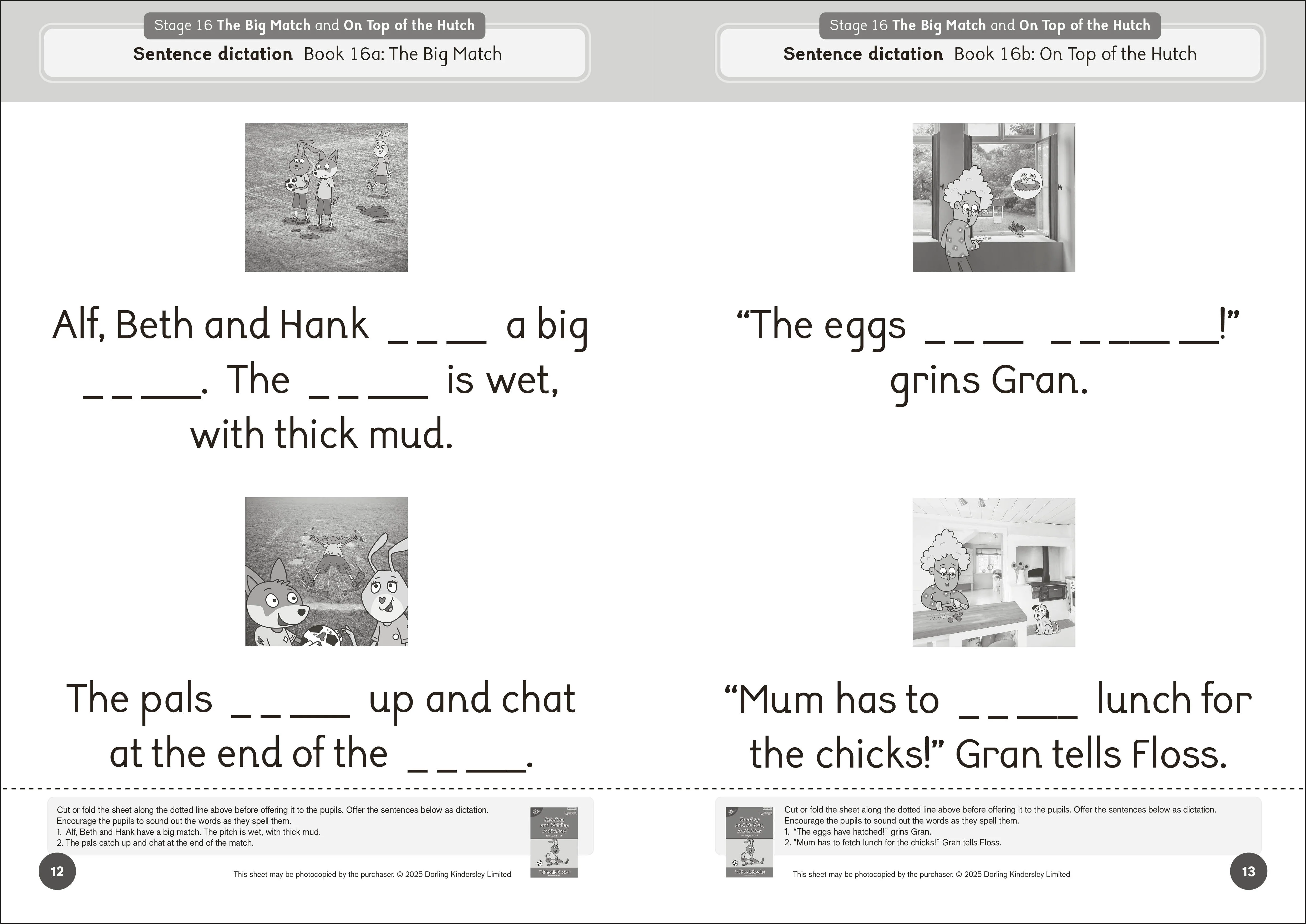 Phonic Books Dandelion Launchers Extras Stages 16-20 Reading and Writing Activities - Image 2