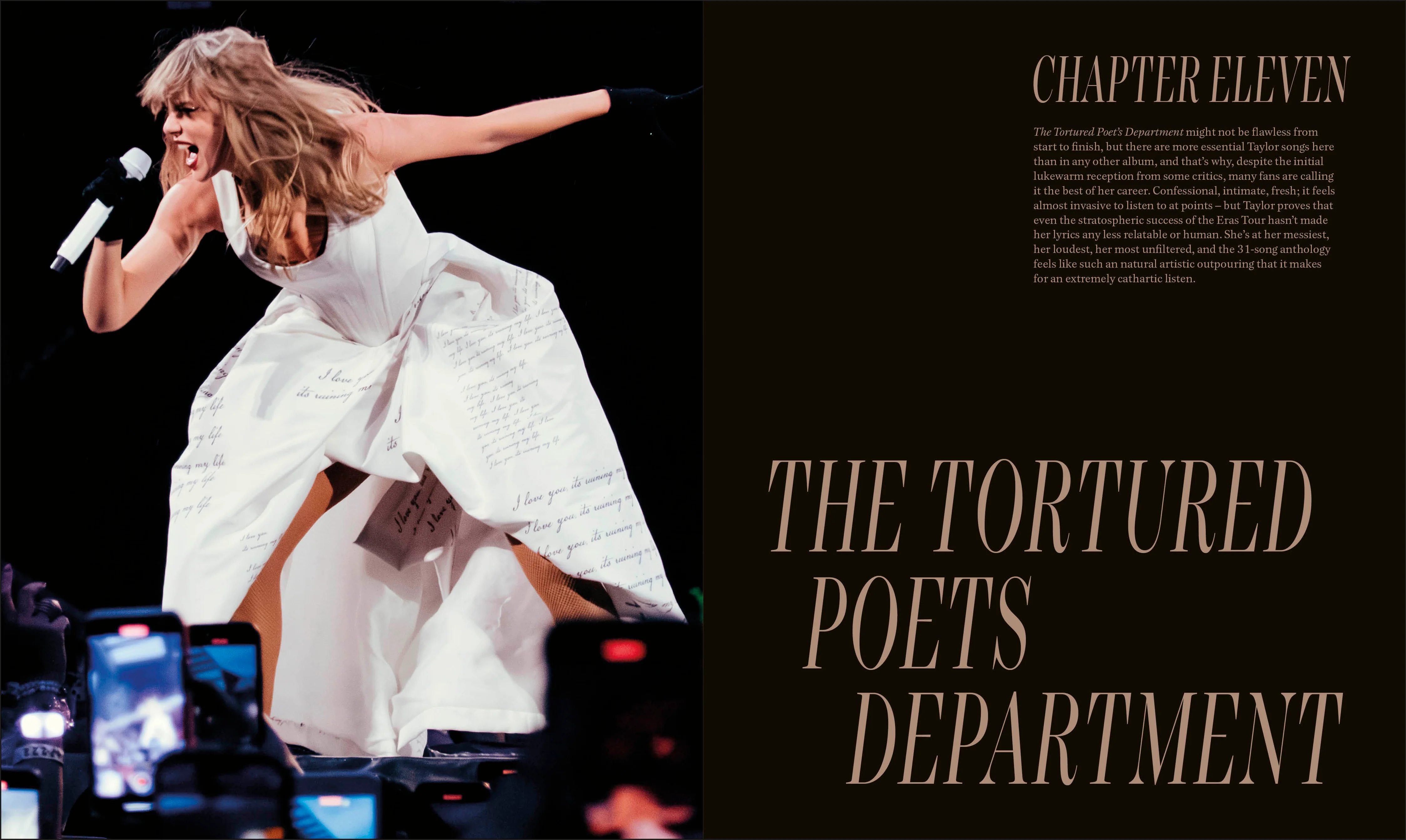 The Taylor Swift Book - Image 2
