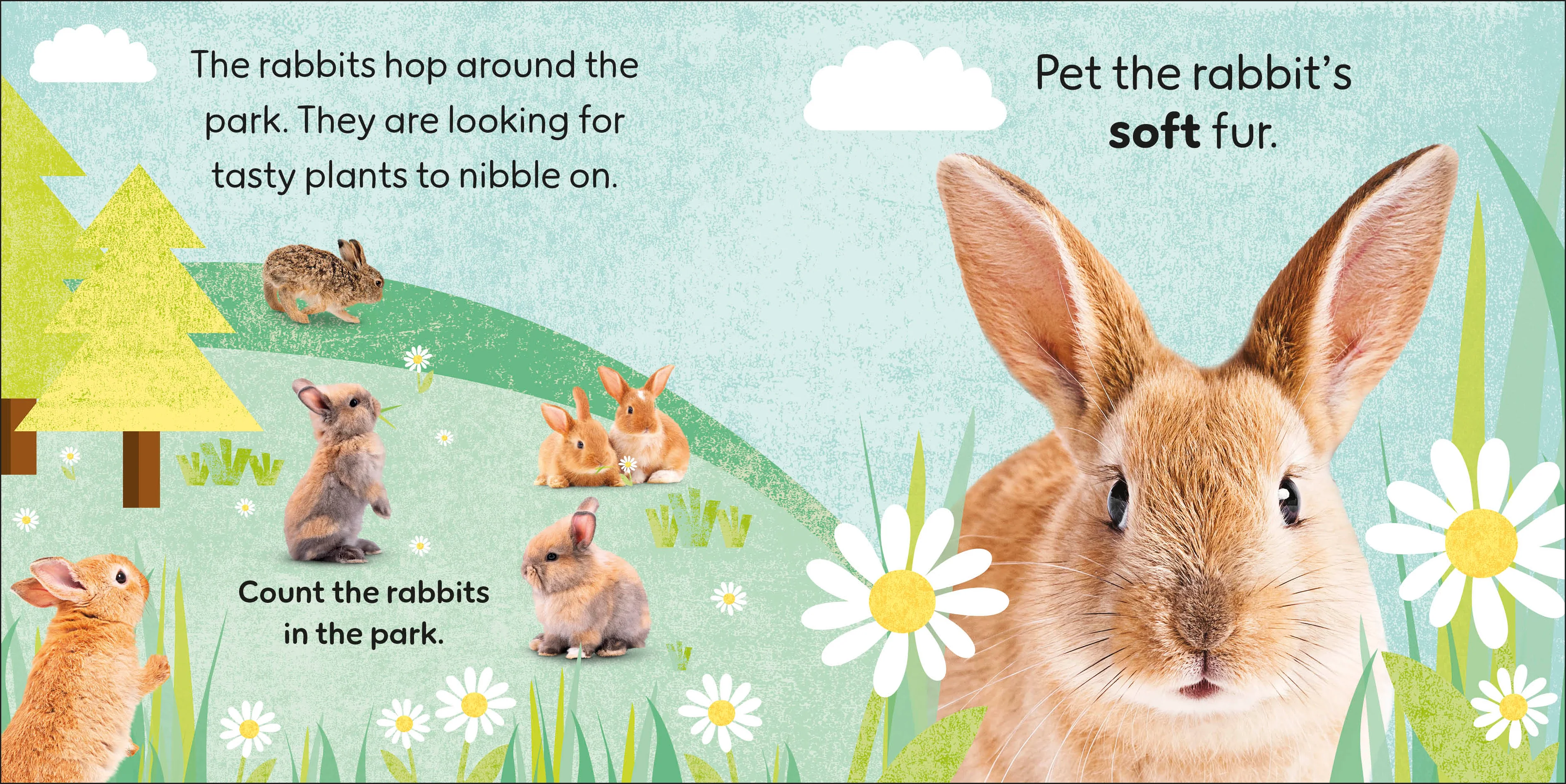 Touch and Feel Baby Animals - Image 3