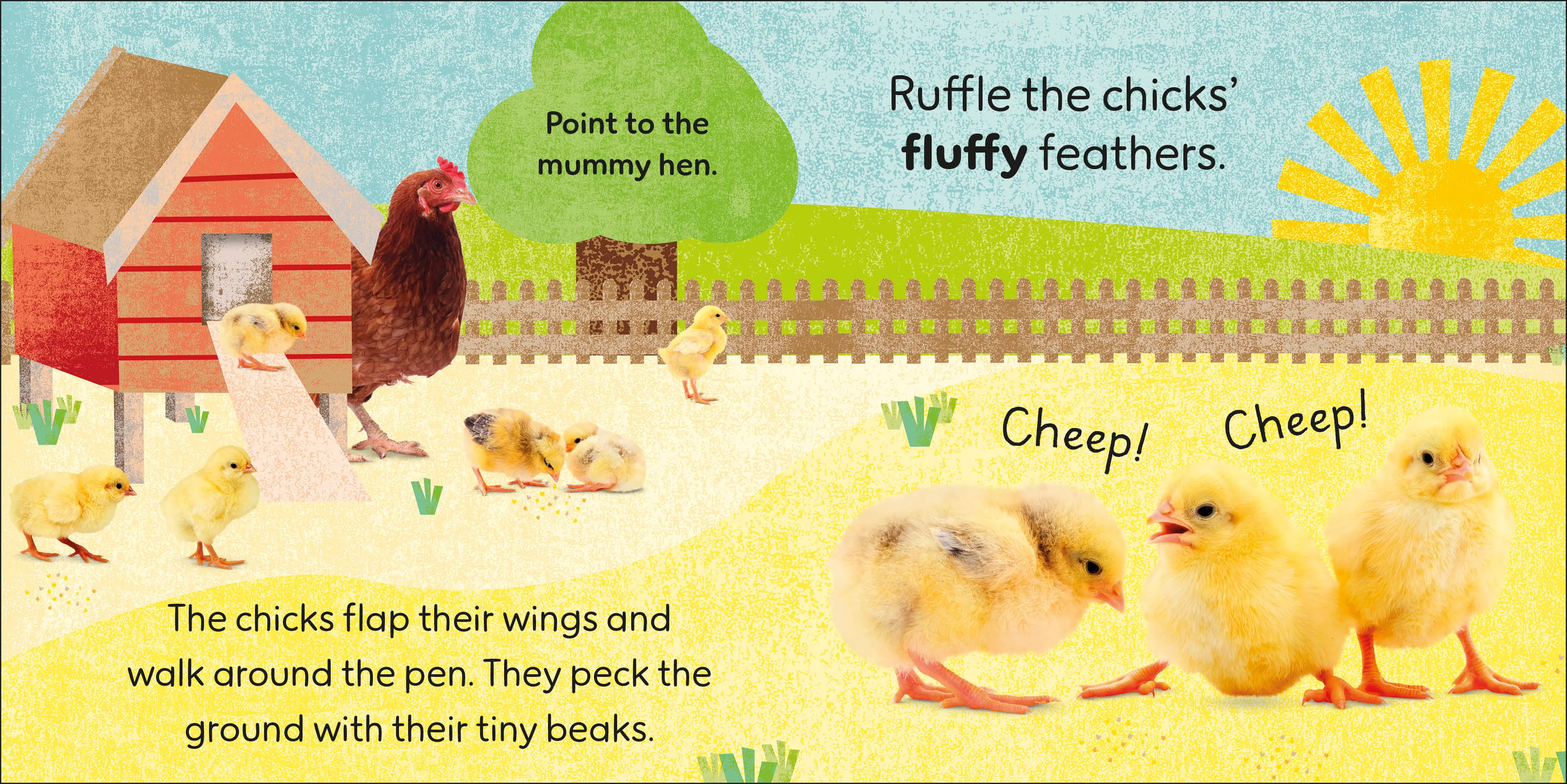 Touch and Feel Baby Animals - Image 4