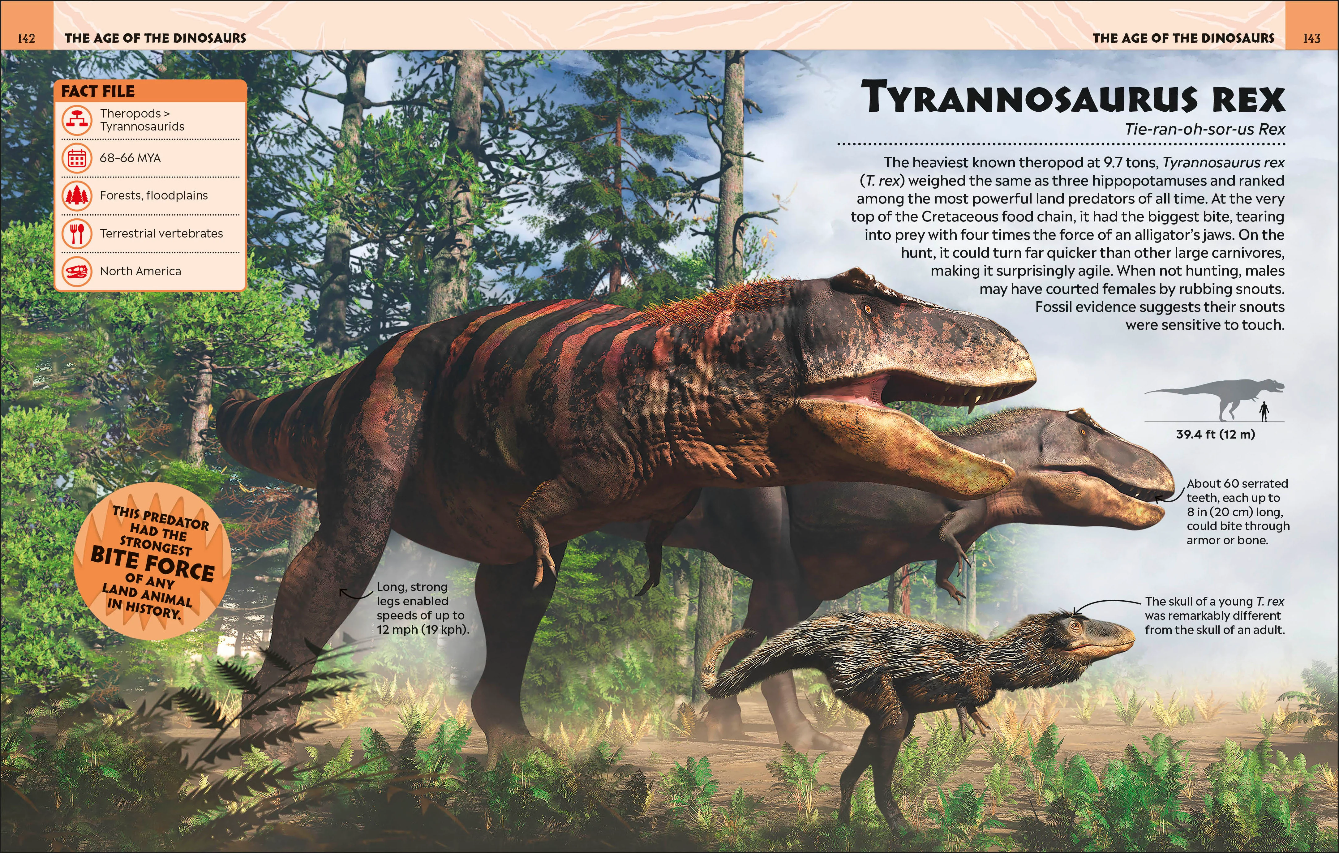 Extraordinary Dinosaurs and Other Prehistoric Life Visual Encyclopedia - Image 10