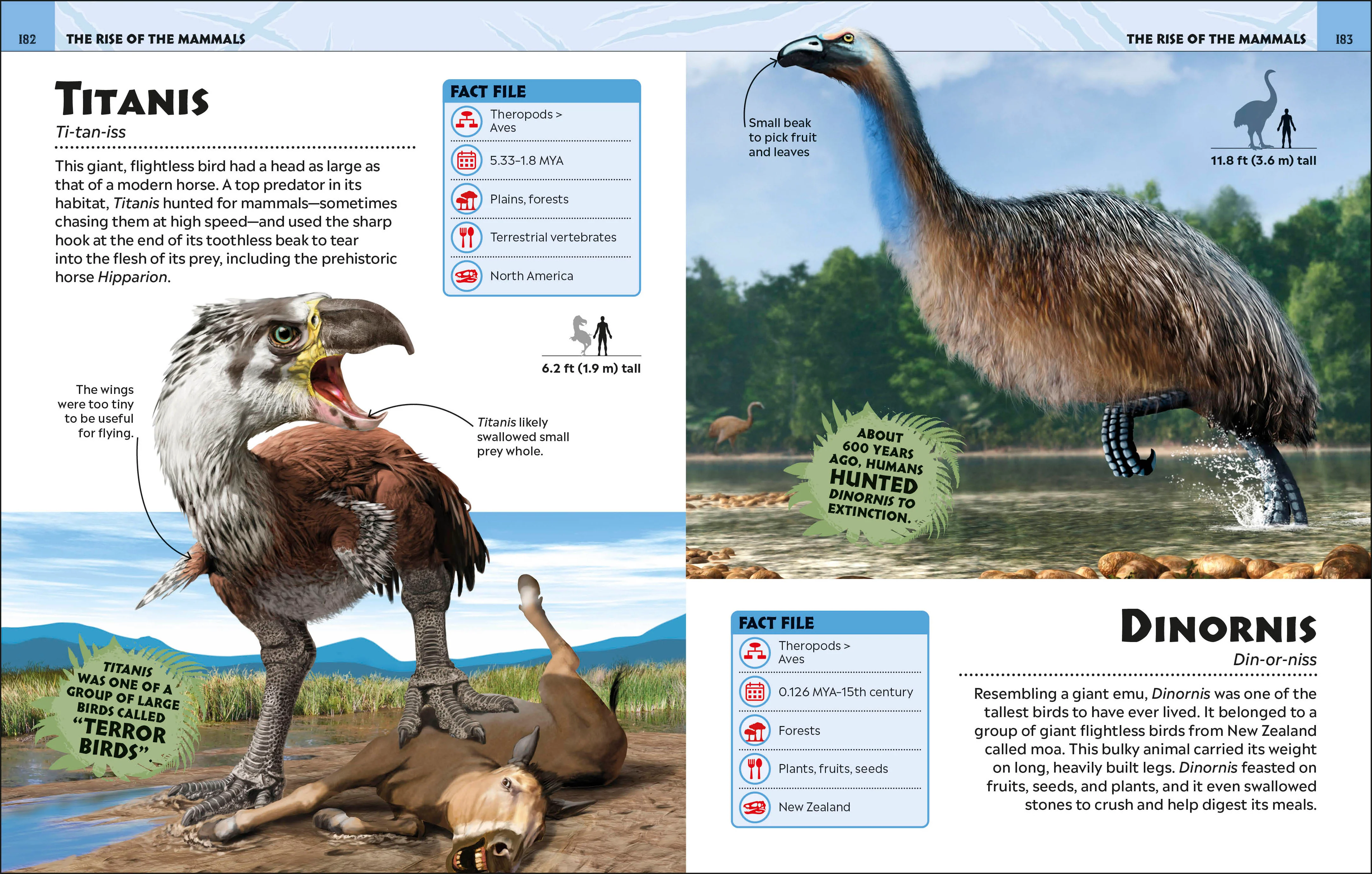 Extraordinary Dinosaurs and Other Prehistoric Life Visual Encyclopedia - Image 11