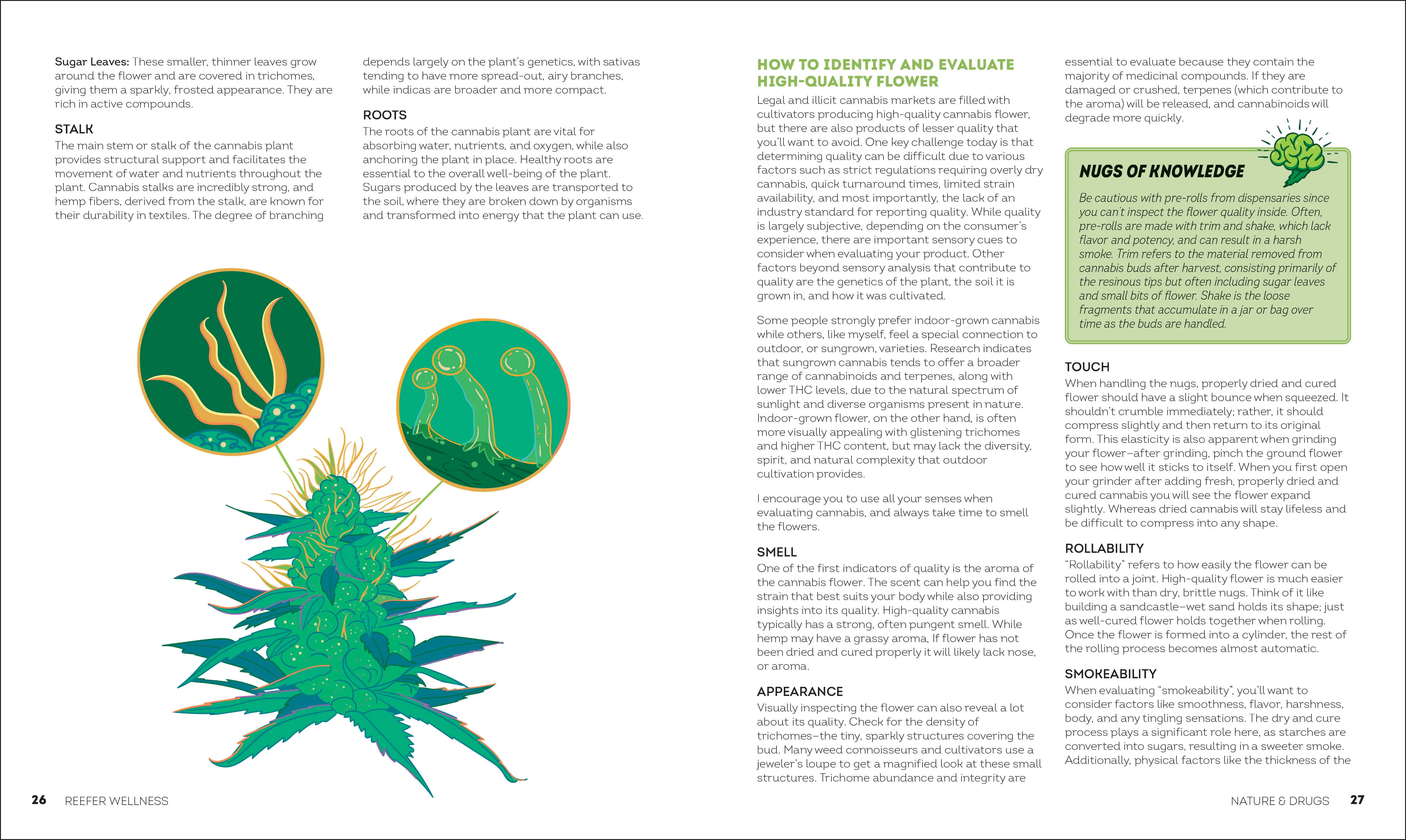 Reefer Wellness - Image 2