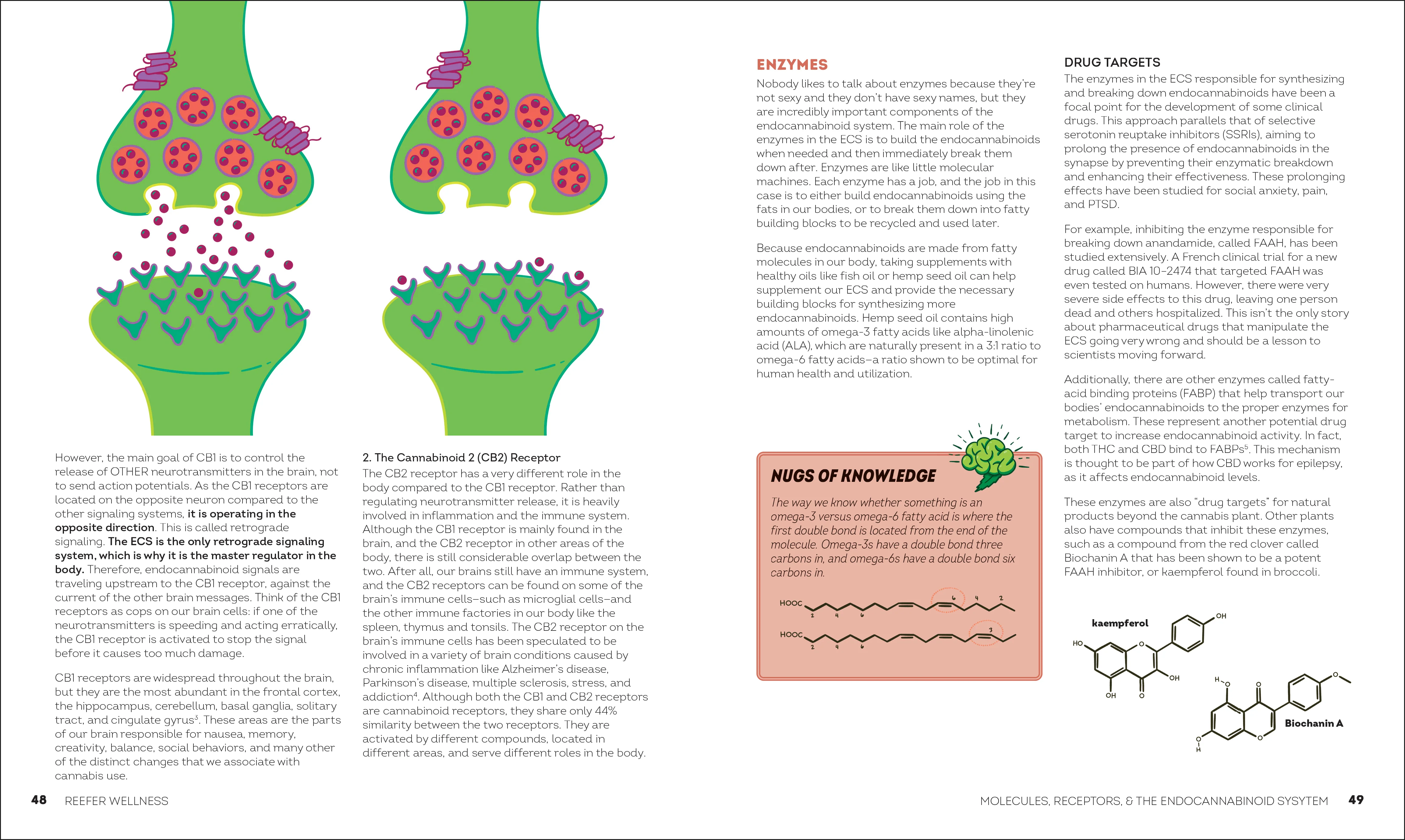 Reefer Wellness - Image 4