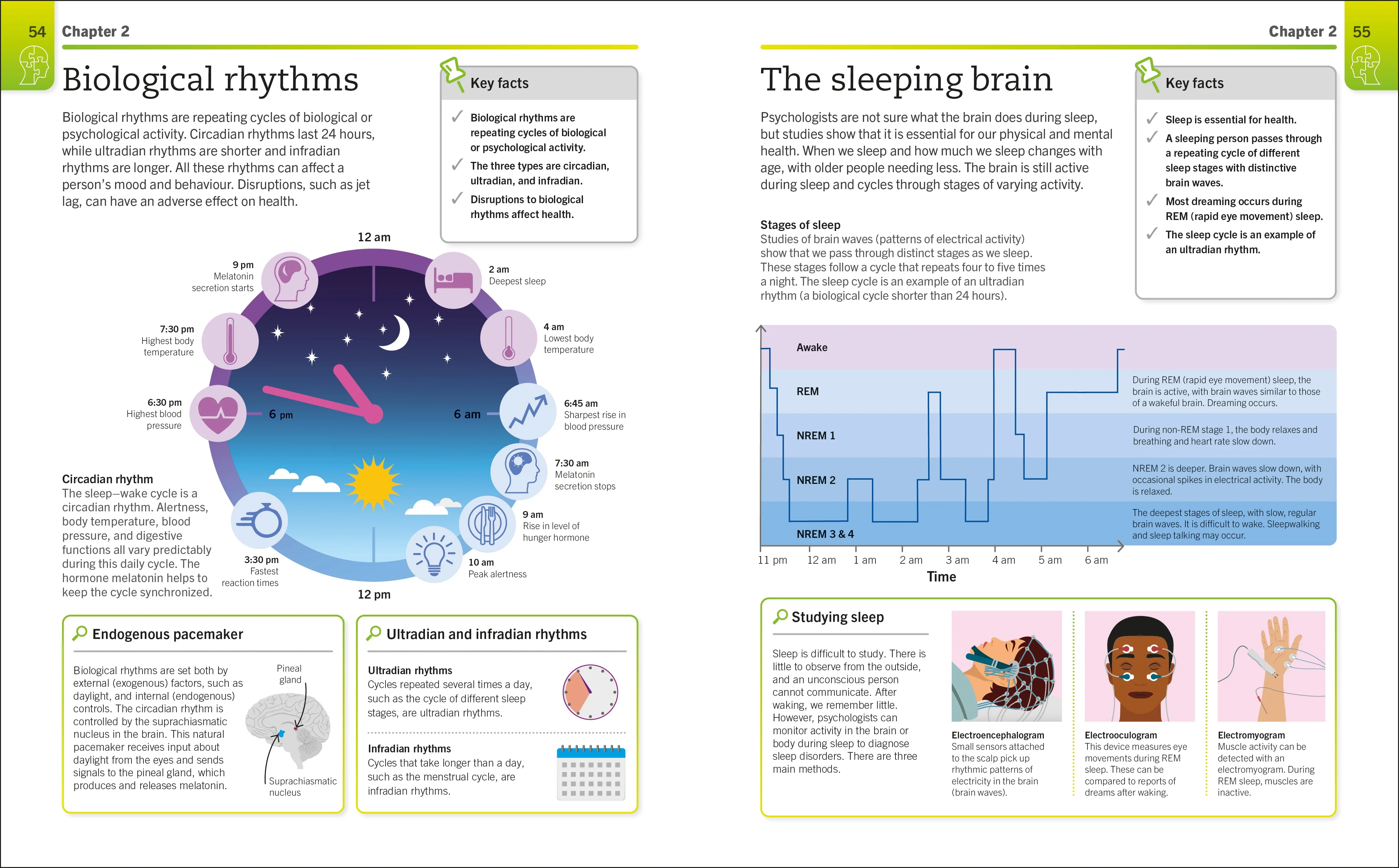Super Simple Psychology - Image 2