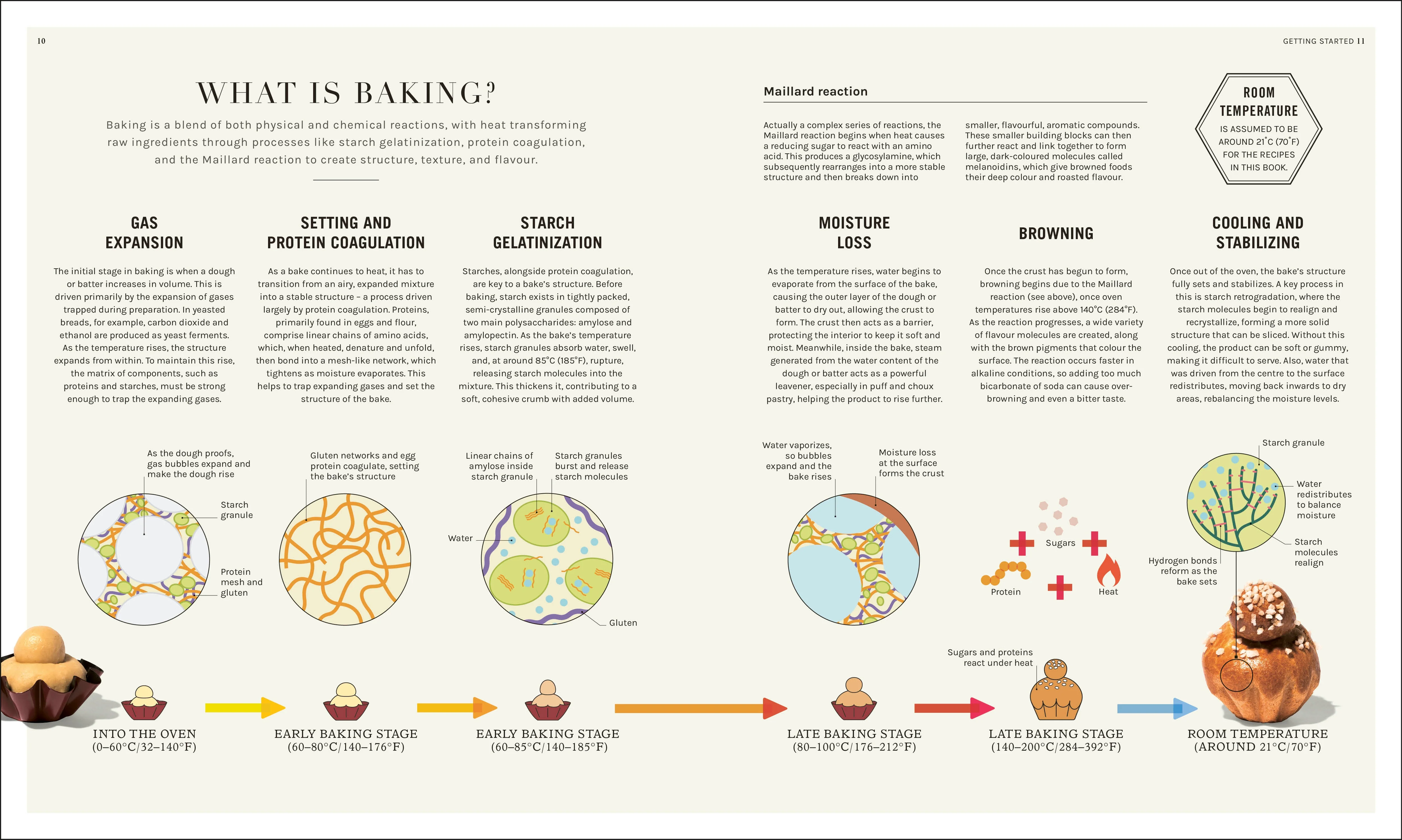 The Science of Baking - Image 3