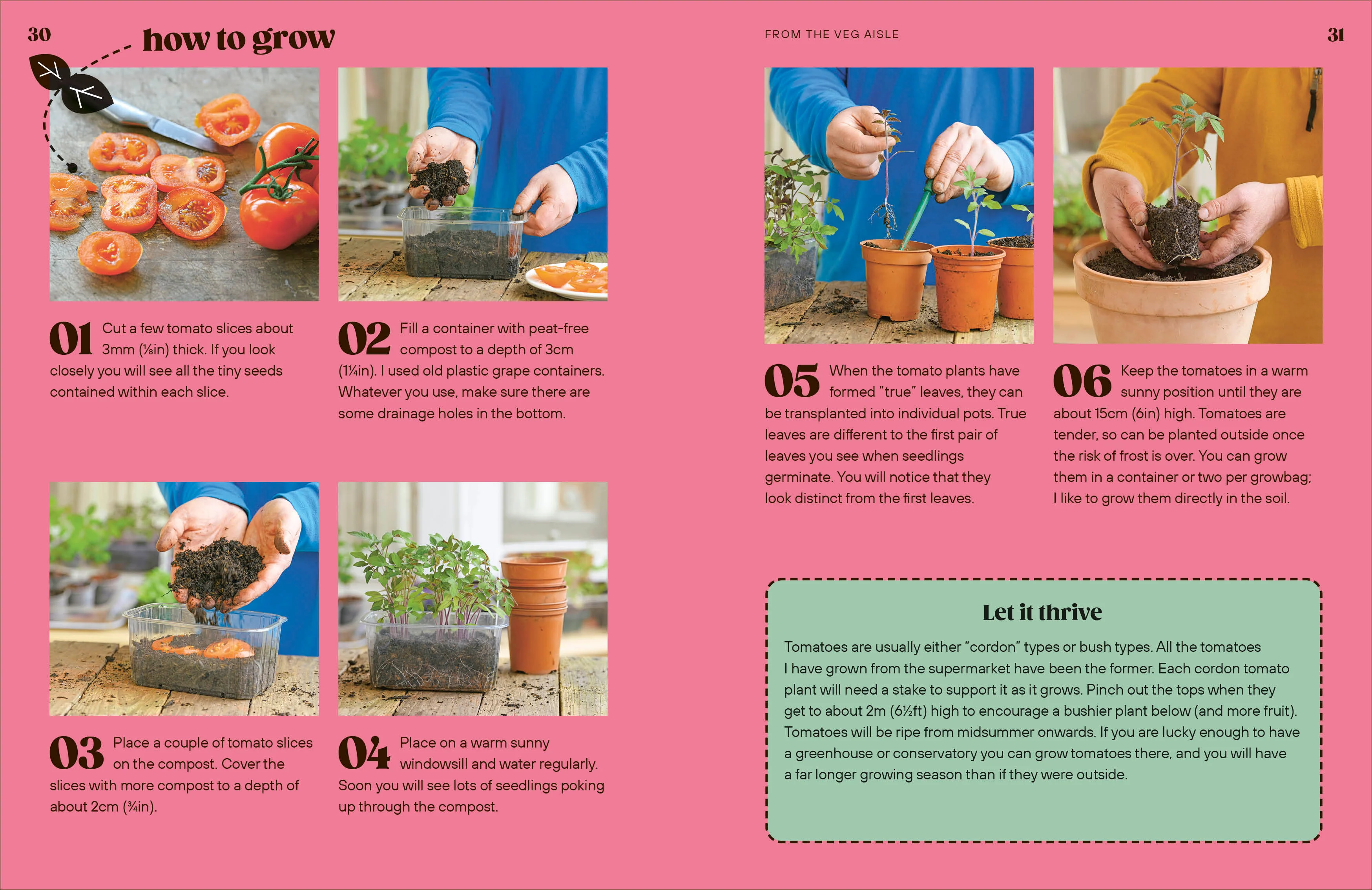 Grow Your Groceries - Image 4