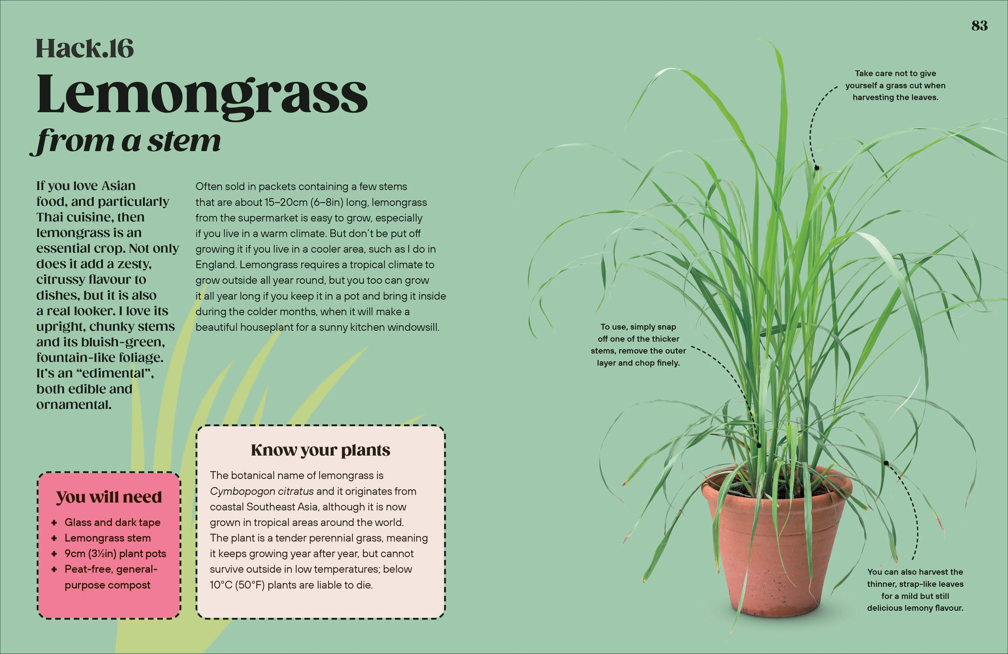 Grow Your Groceries - Image 5
