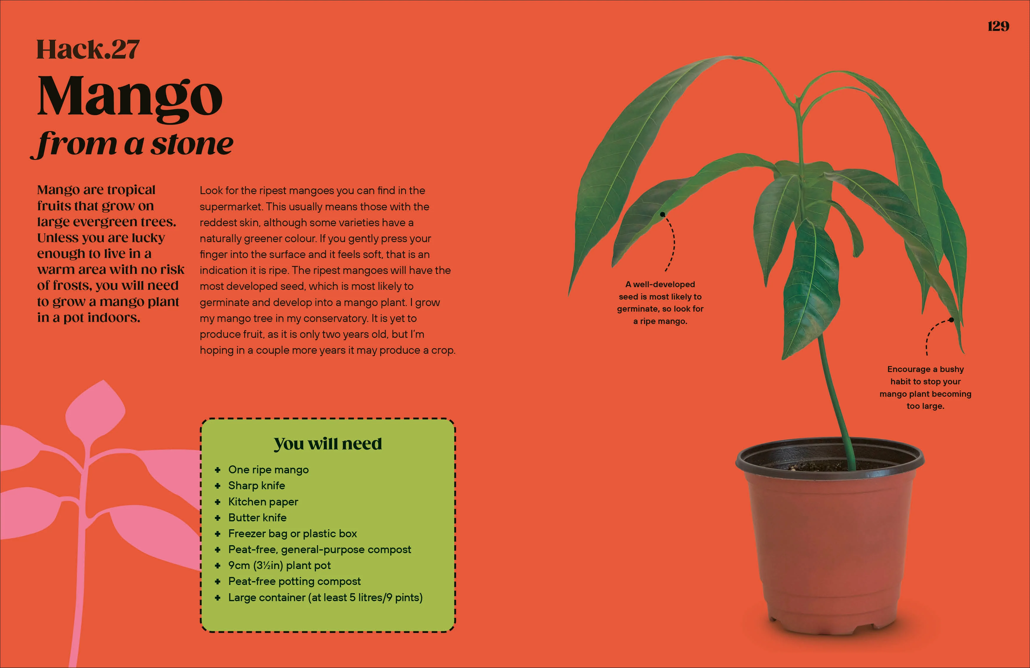 Grow Your Groceries - Image 6