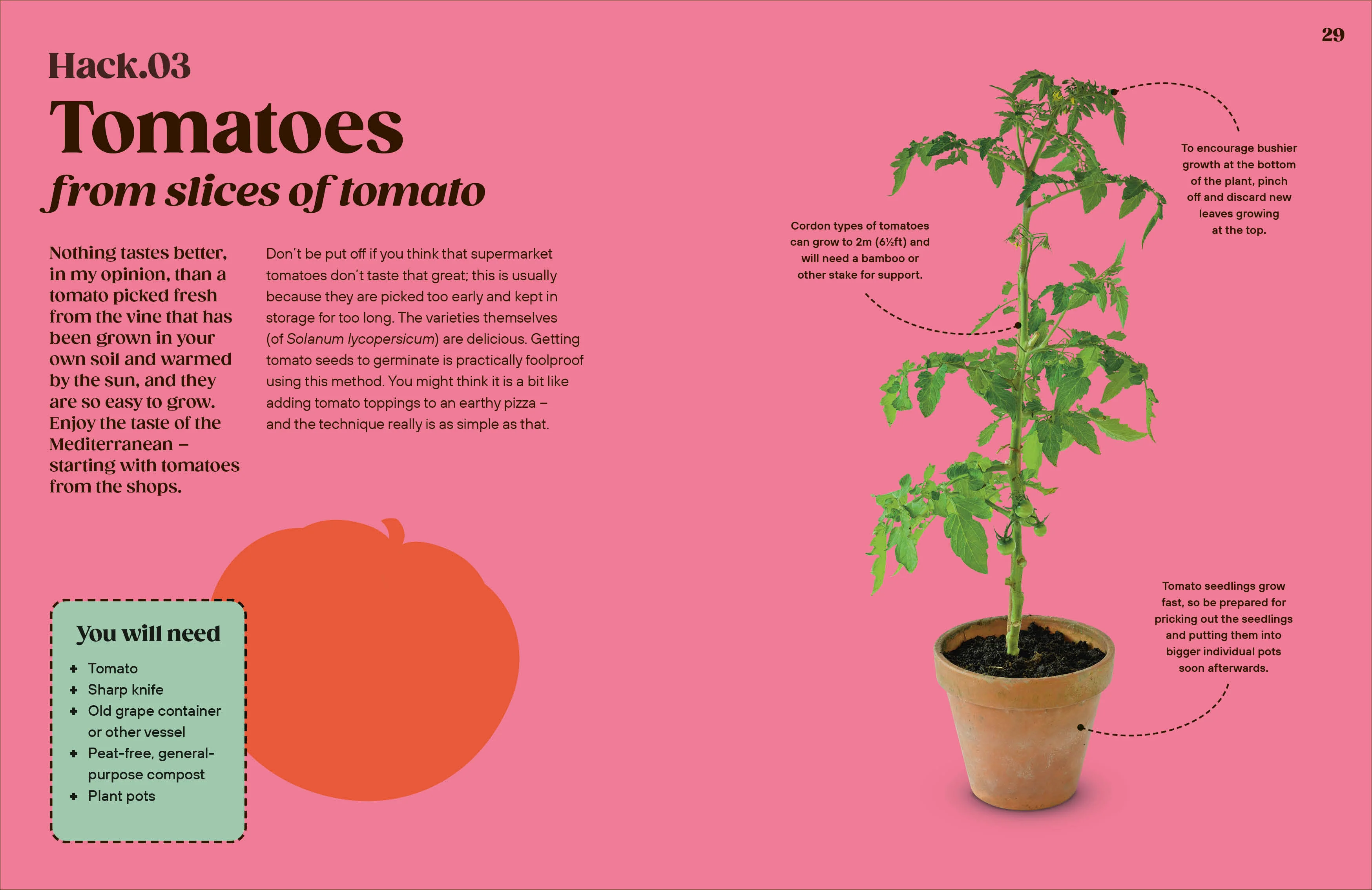 Grow Your Groceries - Image 8
